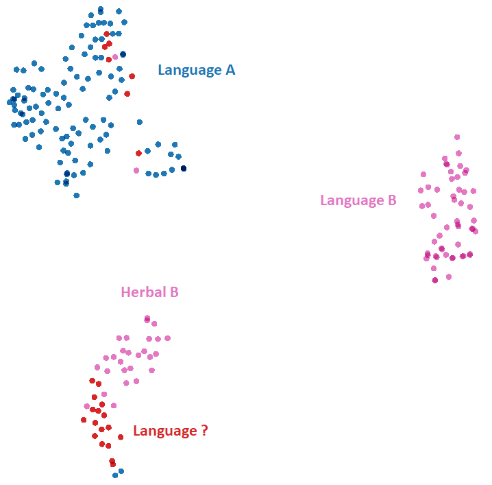 T-SNE visualization of Voynich pages by language