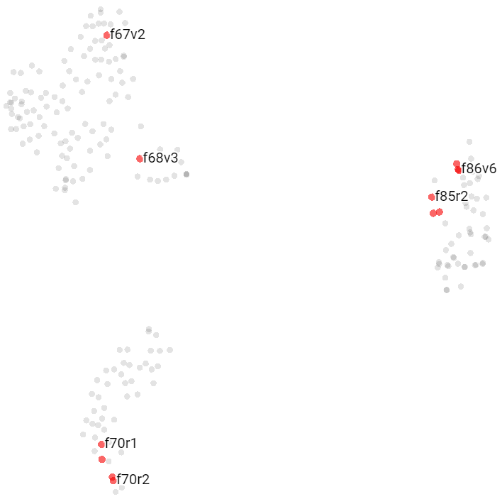 T-SNE visualization of Voynich Cosmological pages