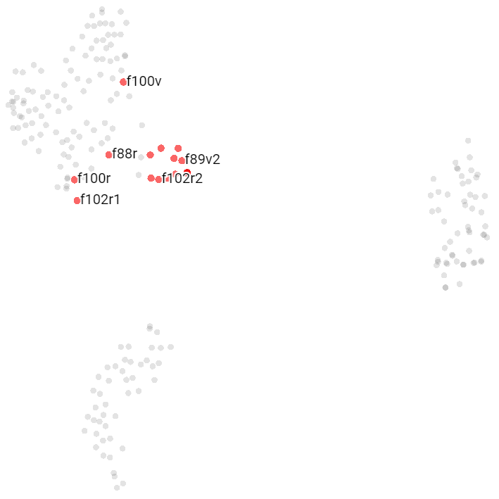 T-SNE visualization of Voynich Pharmaceutical pages