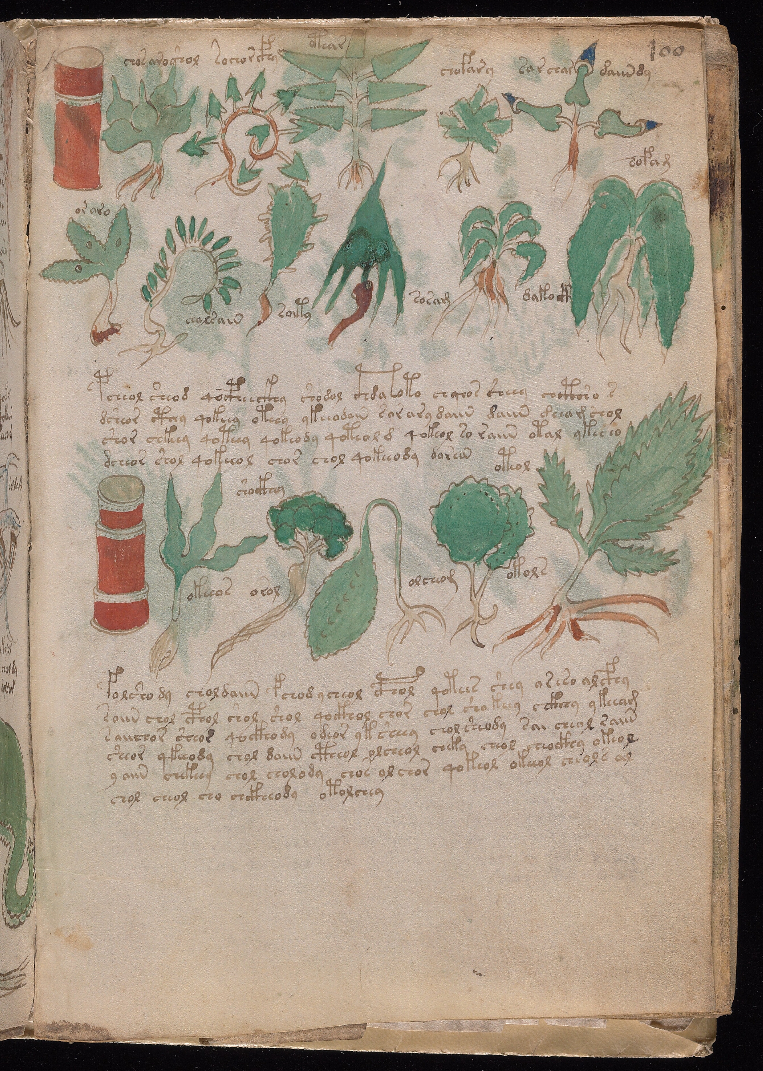 Folio f100r