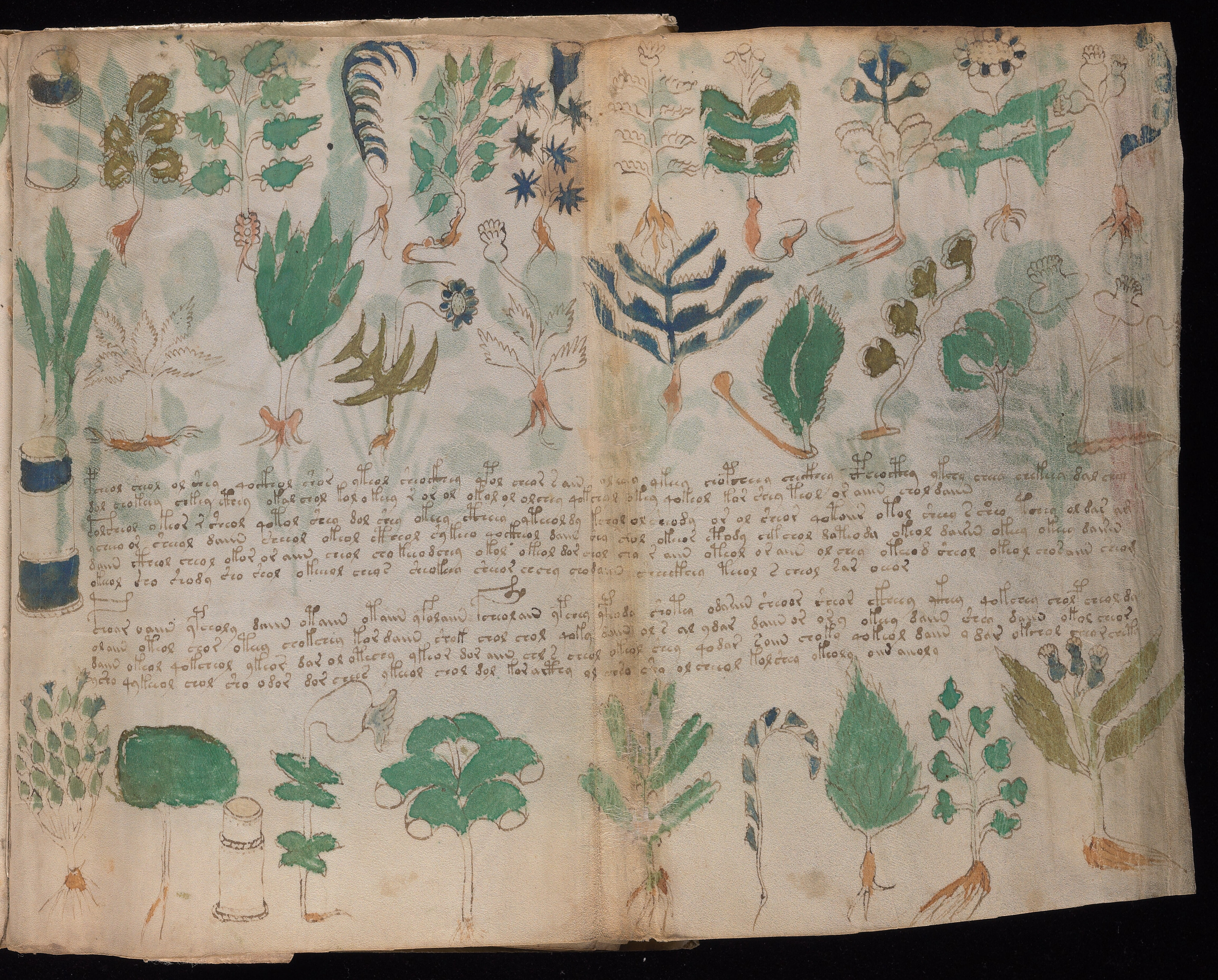 Folio f101r