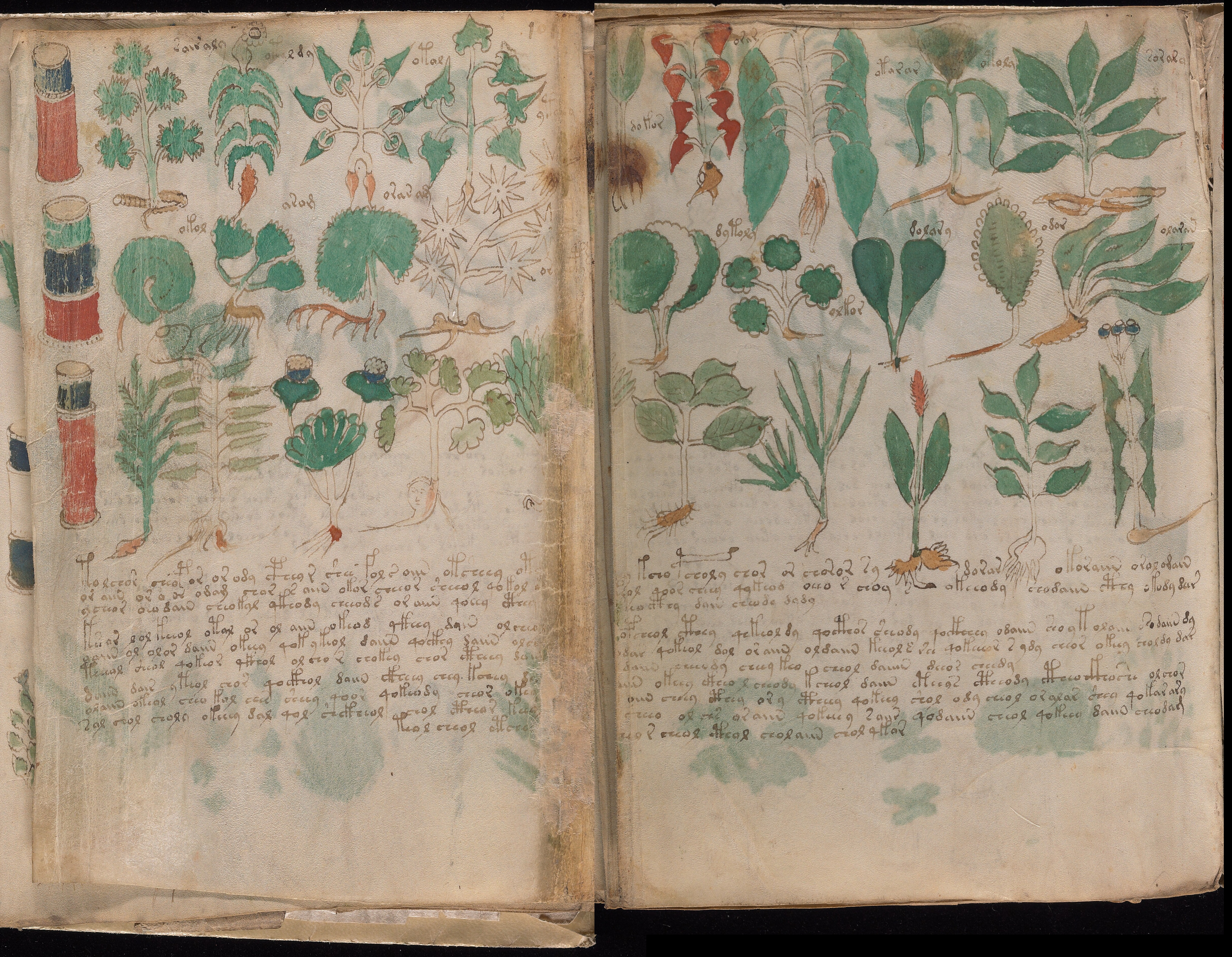 Folio f101v