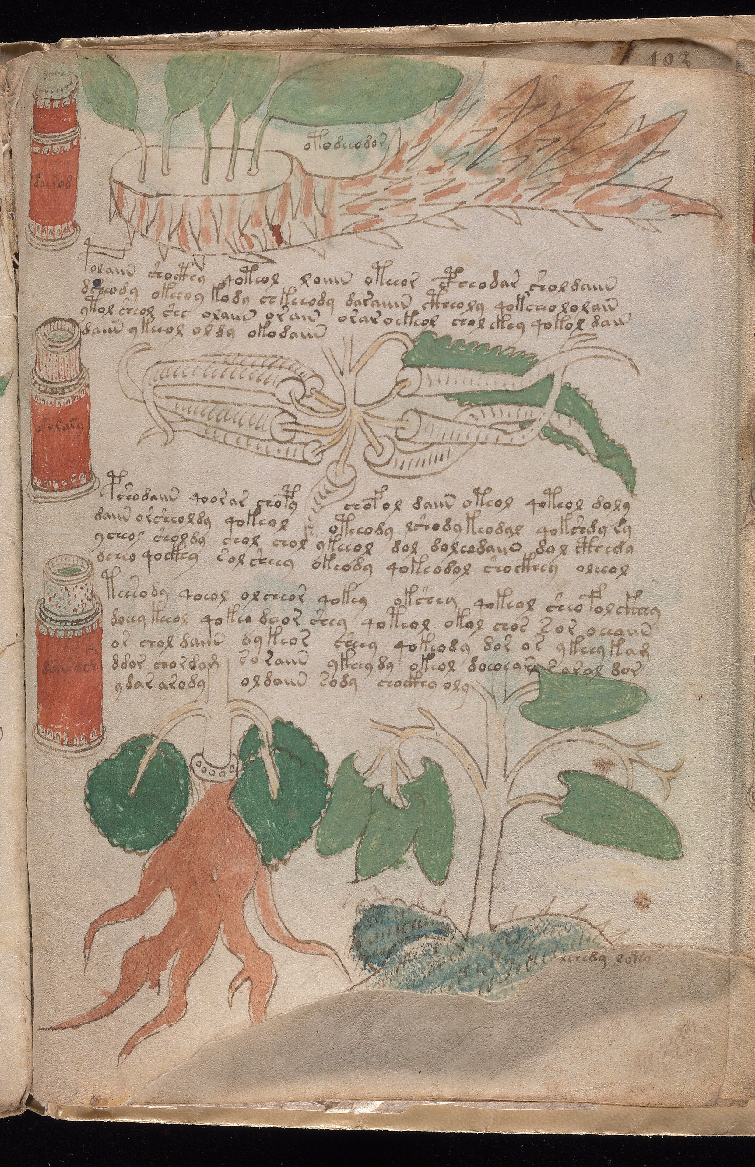 Folio f102r1