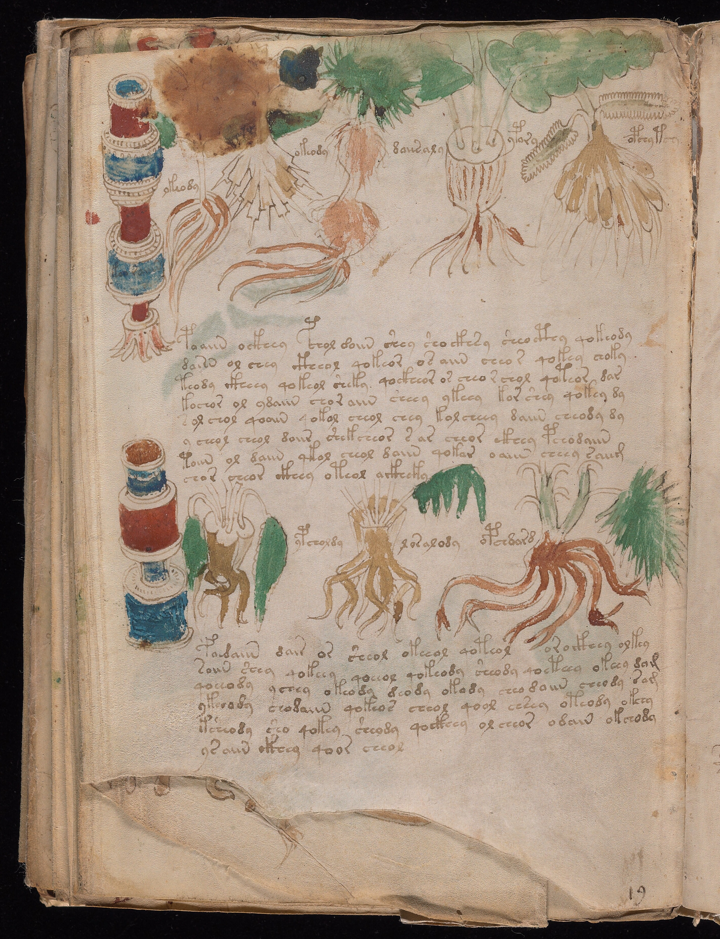 Folio f102v1
