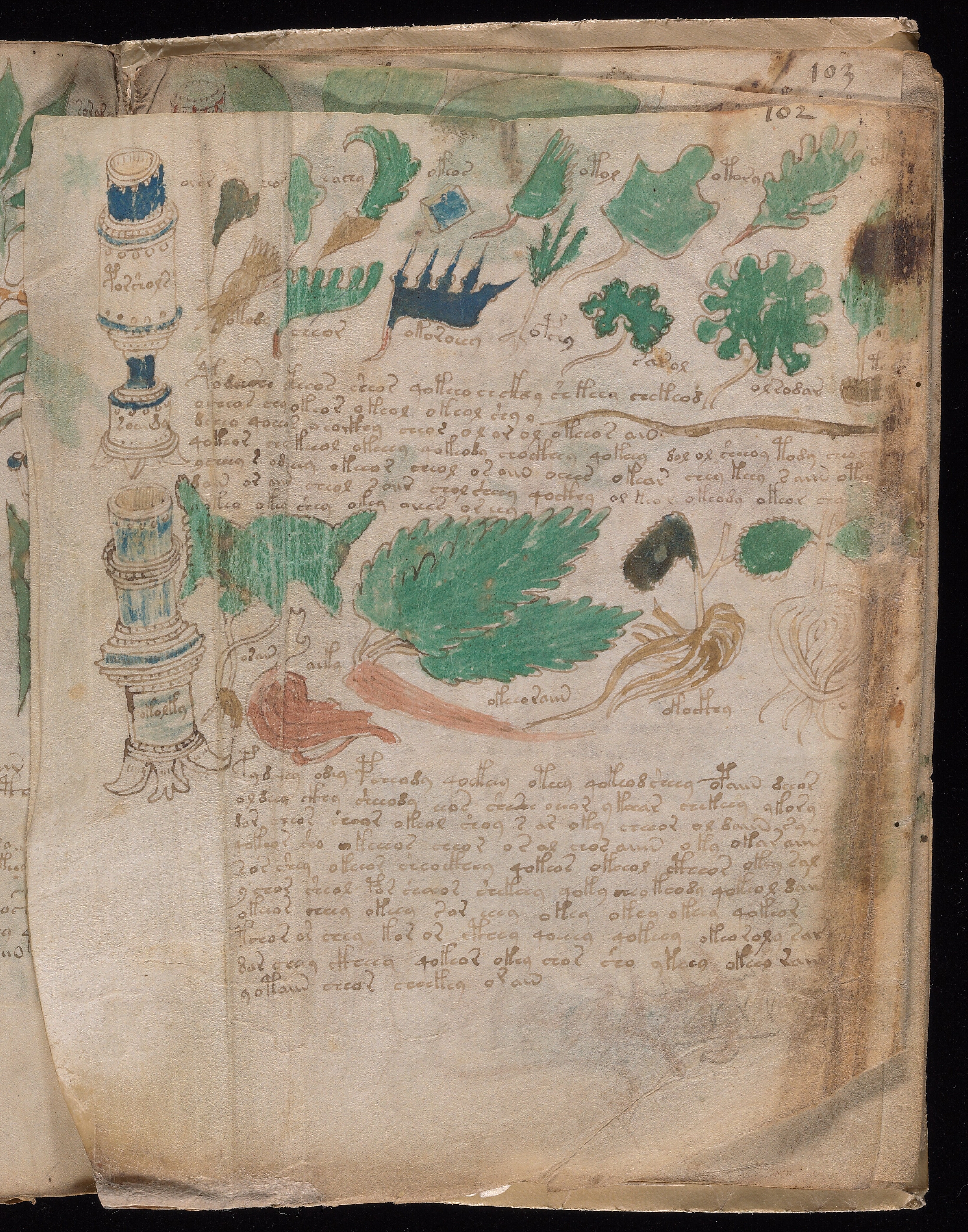 Folio f102v2