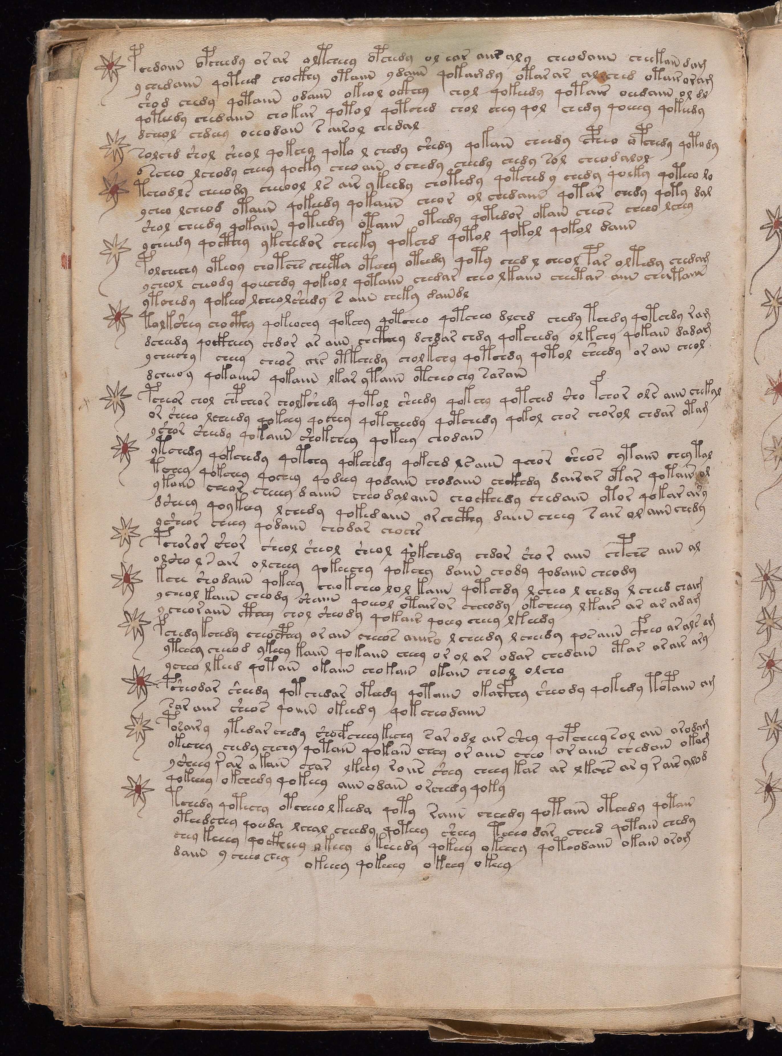 Folio f104v