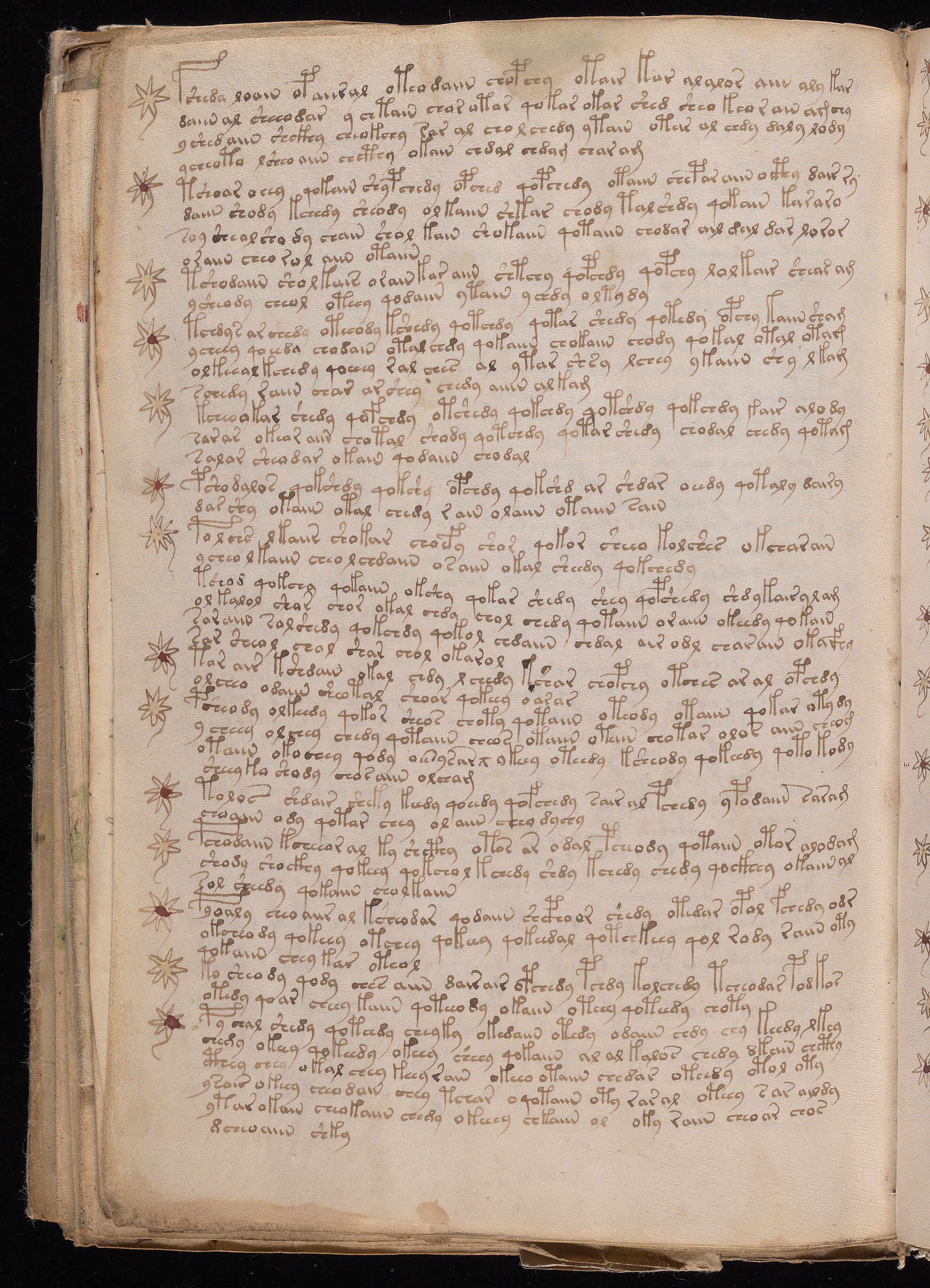 Folio f106v