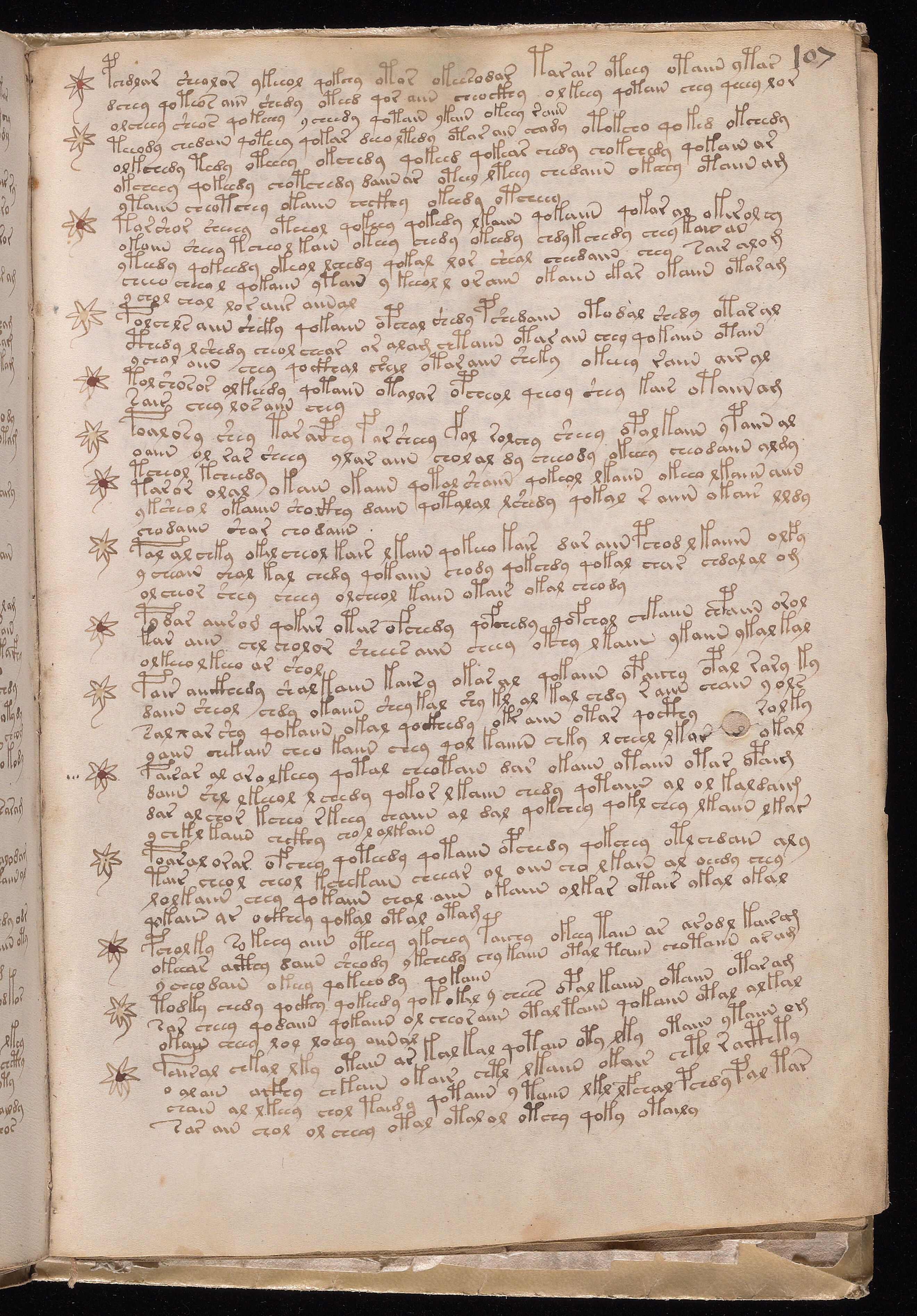 Folio f107r