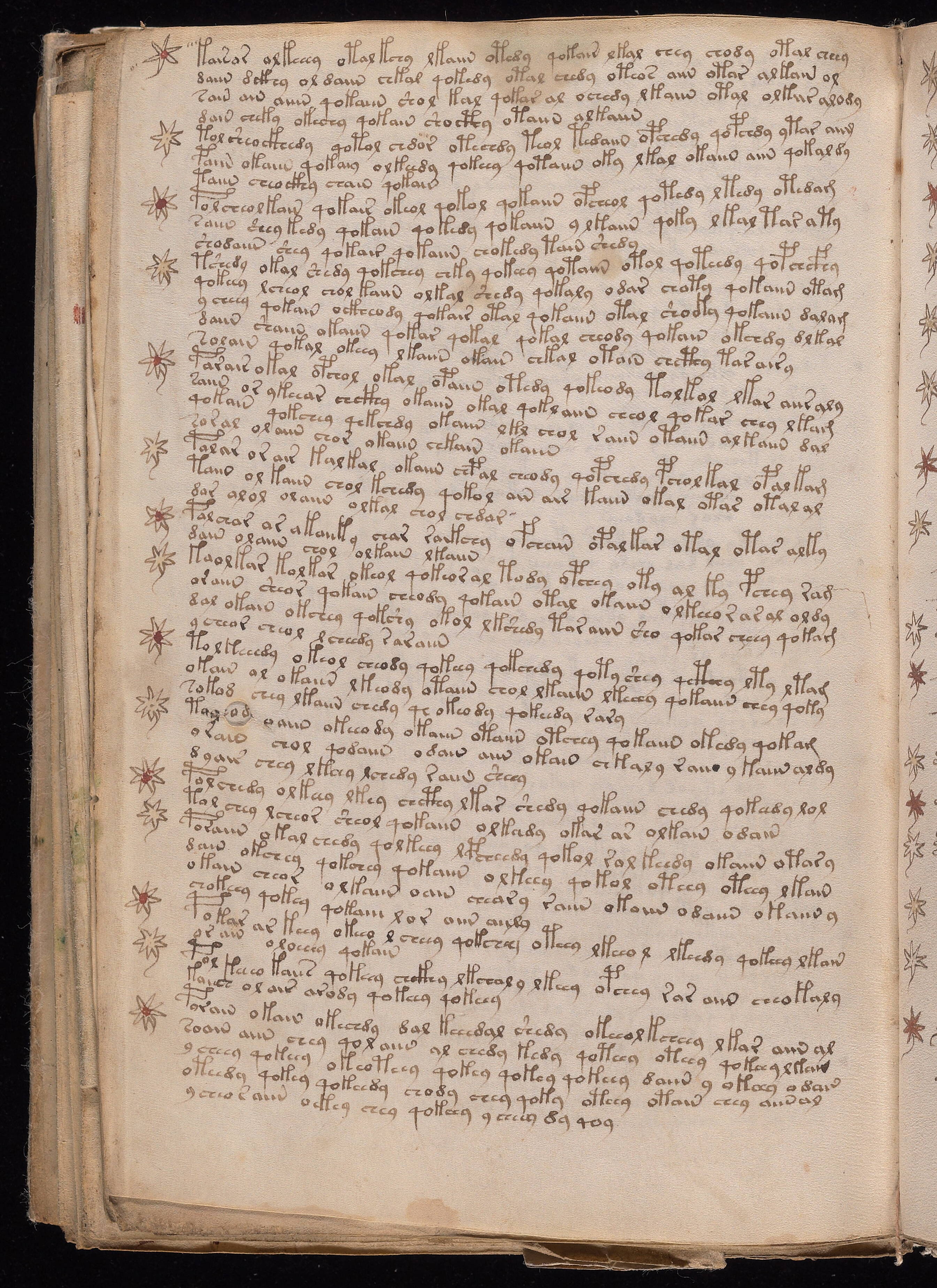 Folio f107v