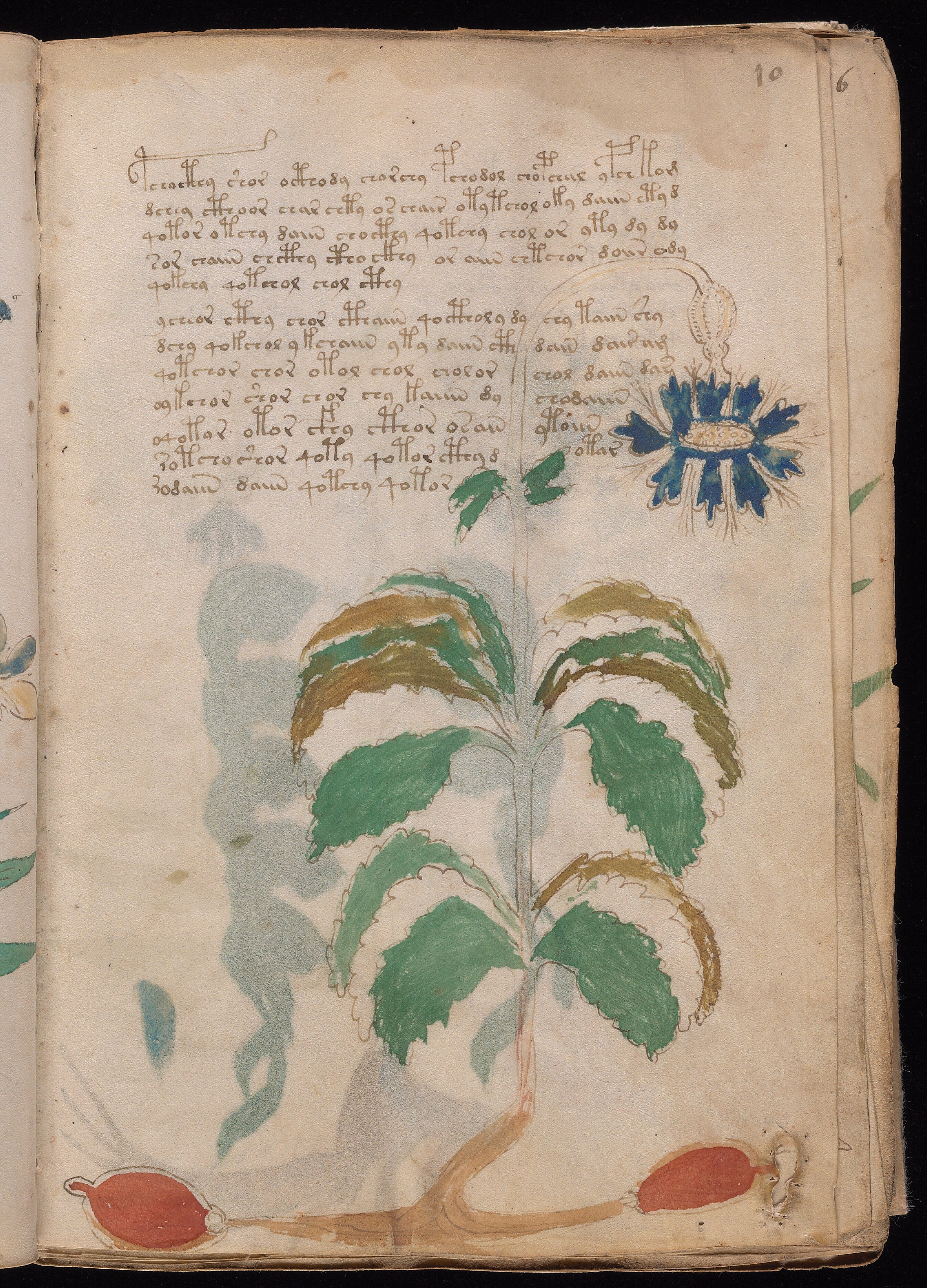 Folio f10r
