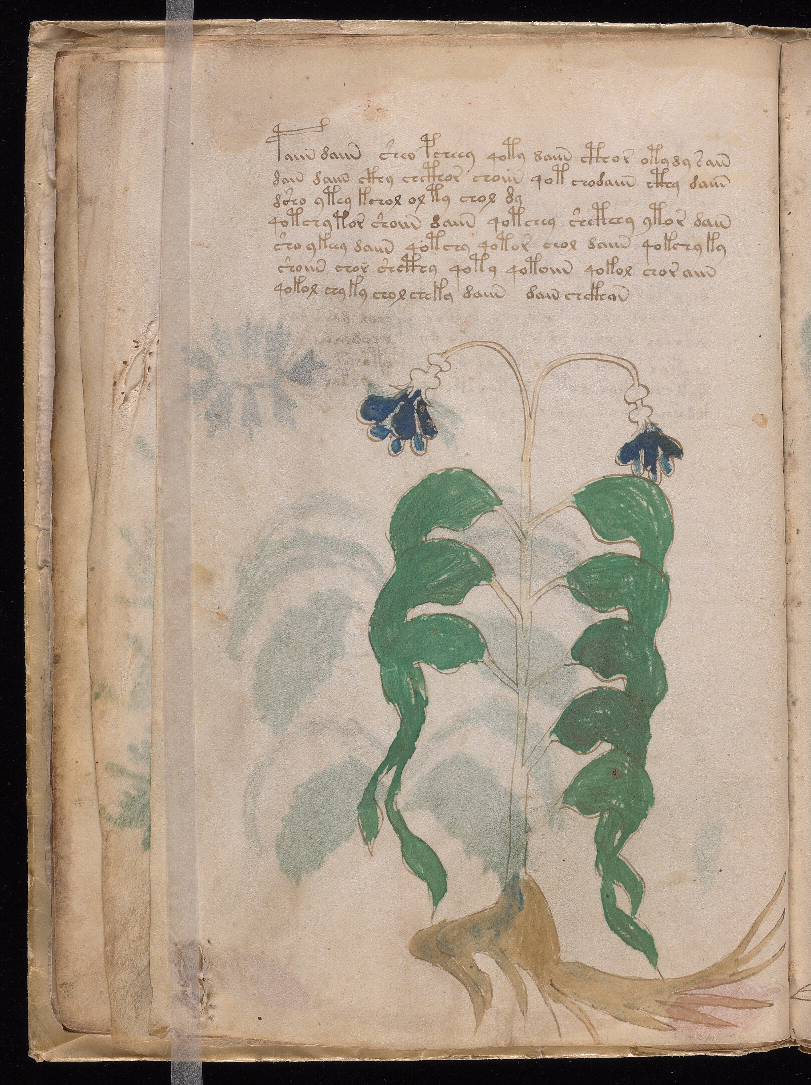 Folio f10v