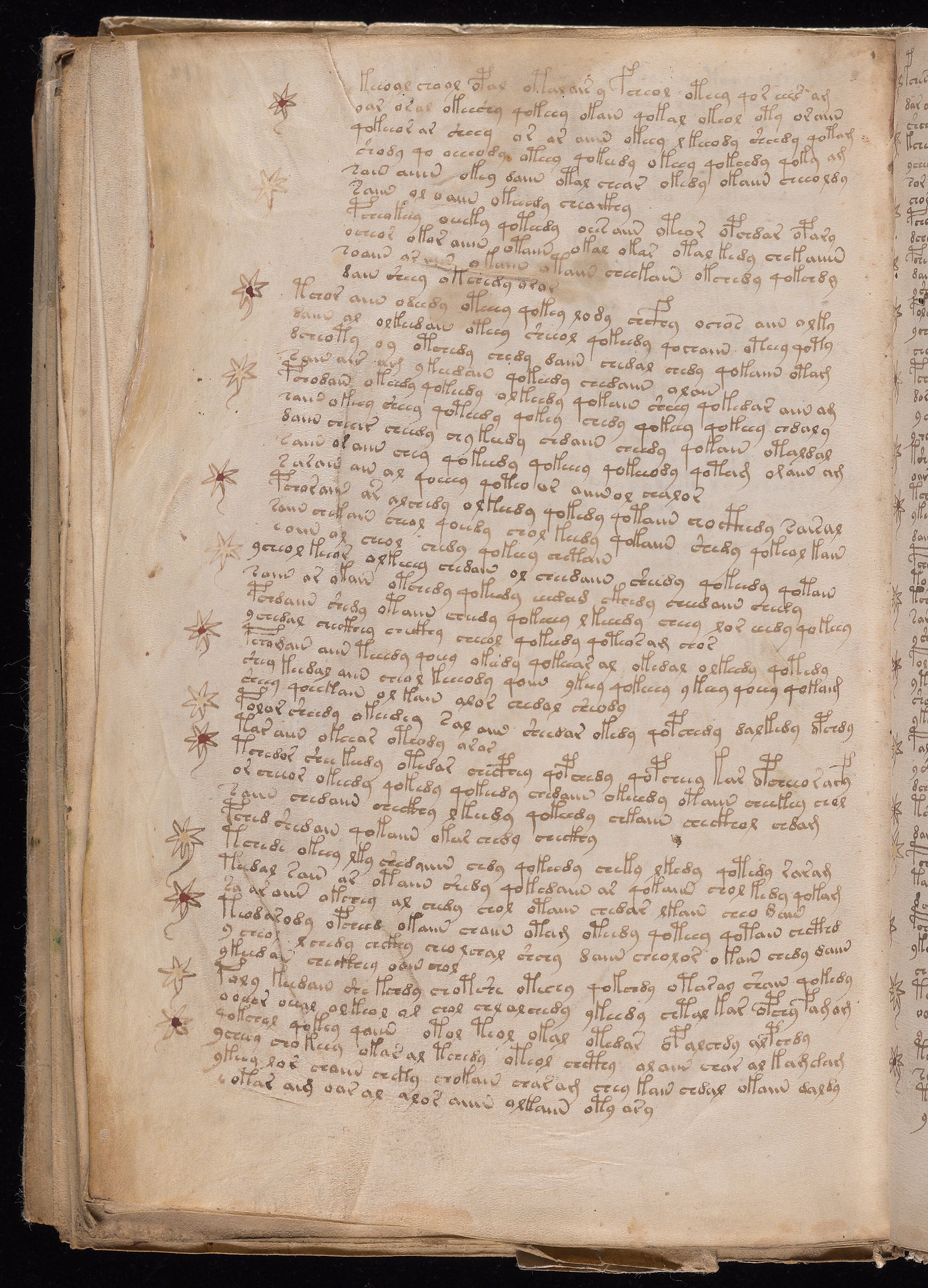 Folio f112v