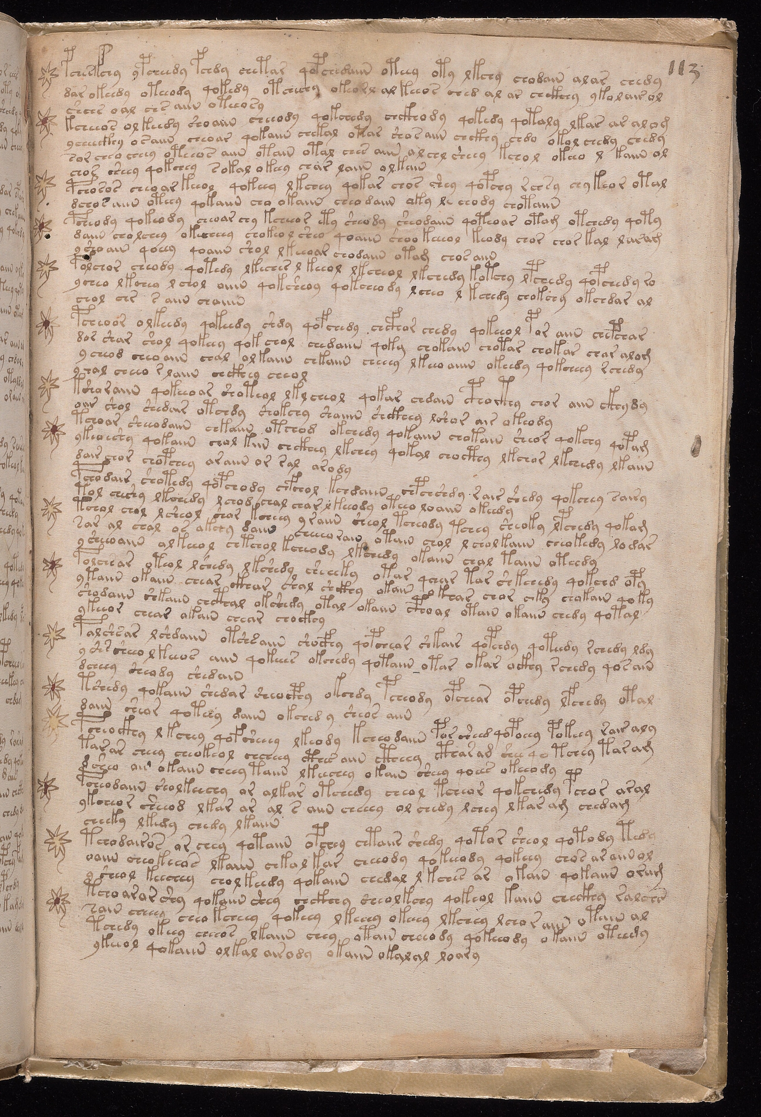 Folio f113r