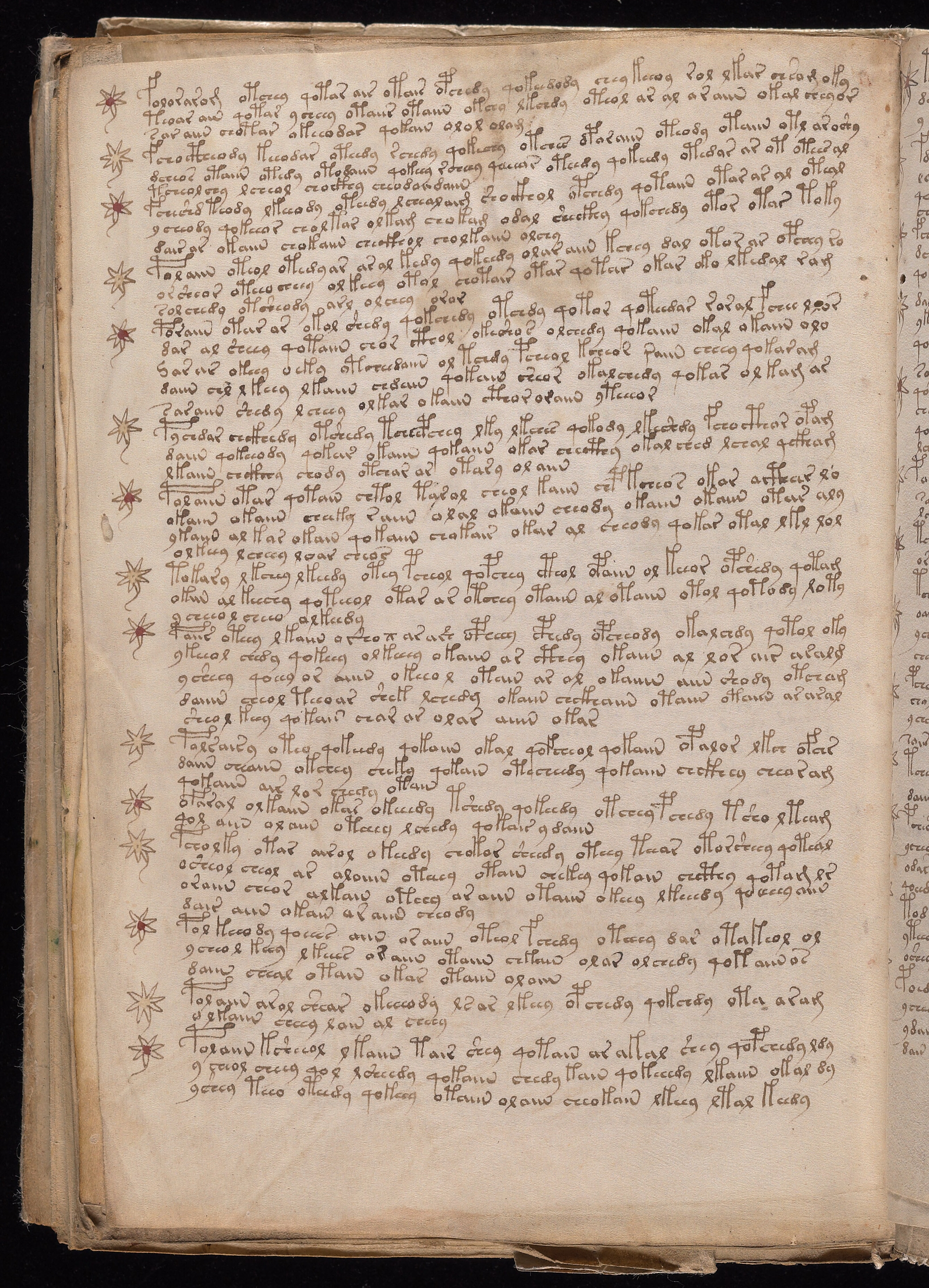 Folio f113v