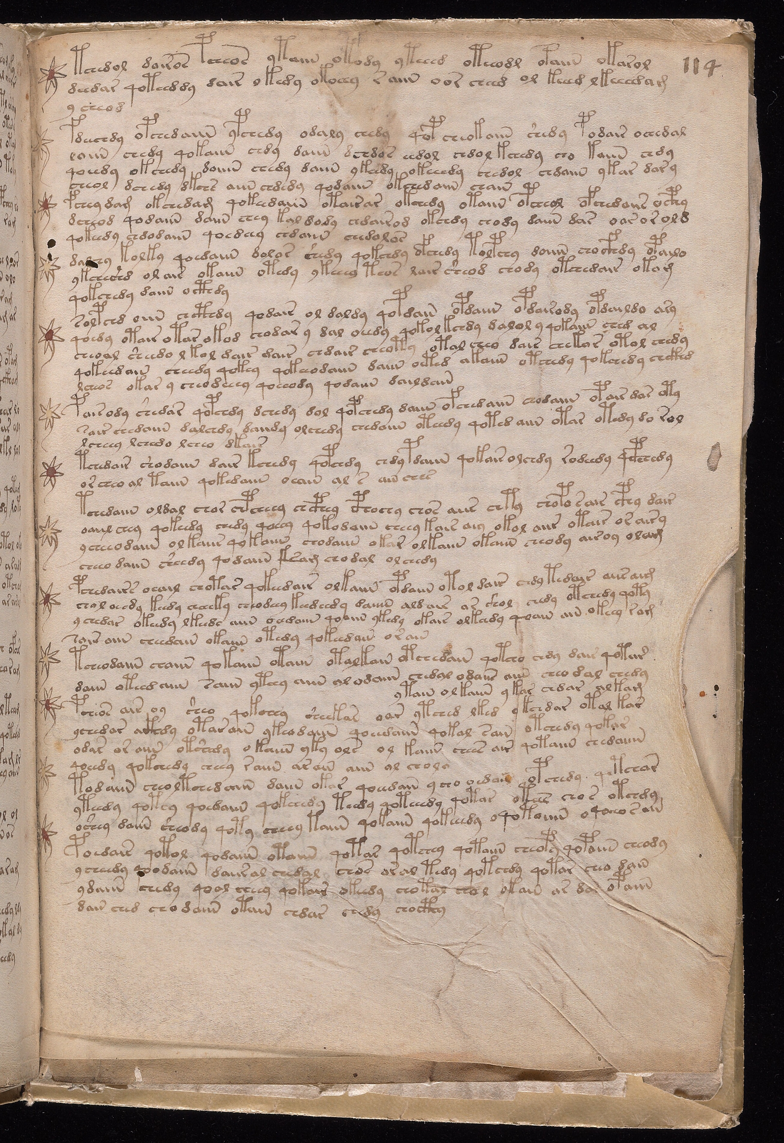Folio f114r