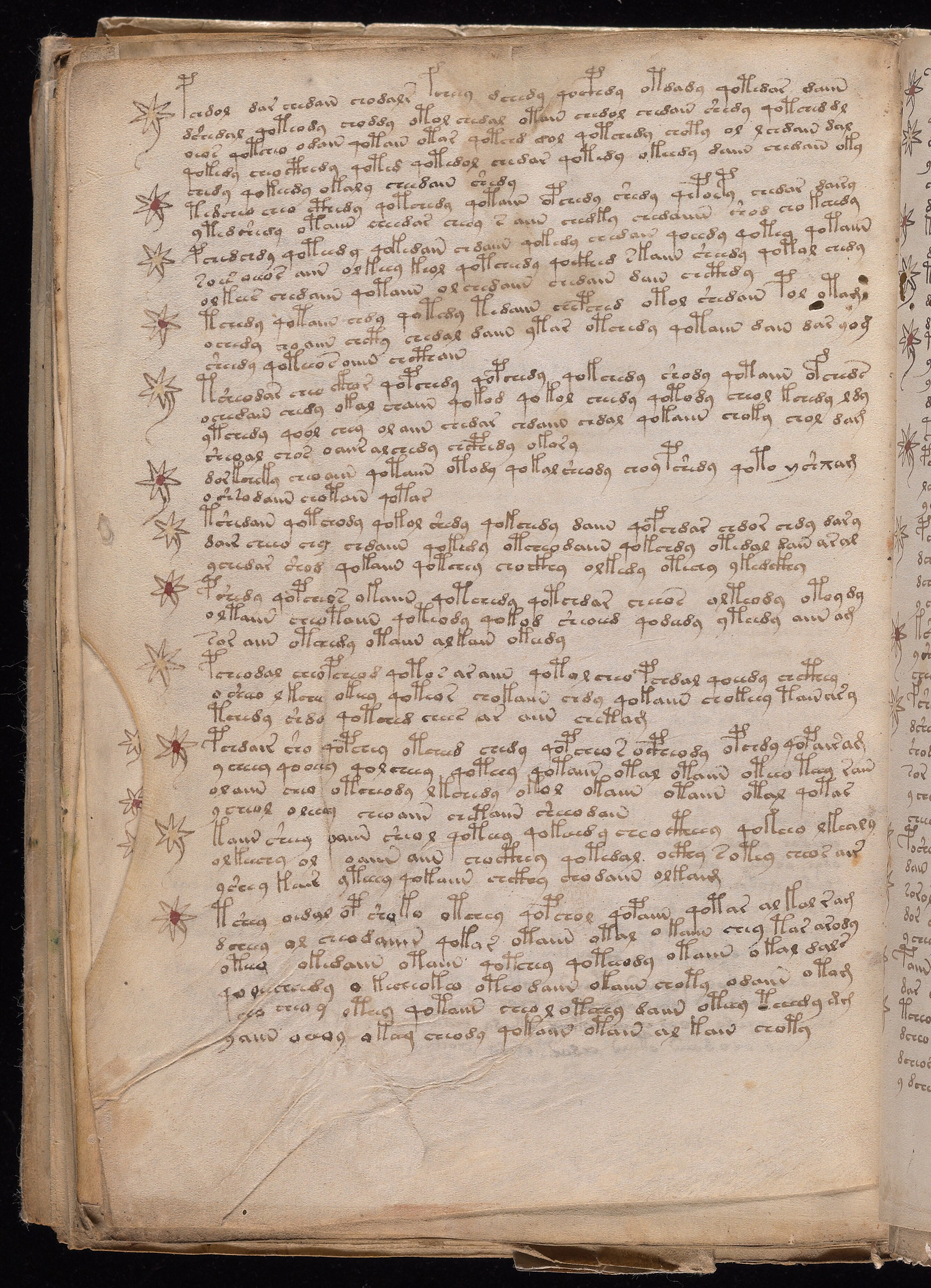 Folio f114v