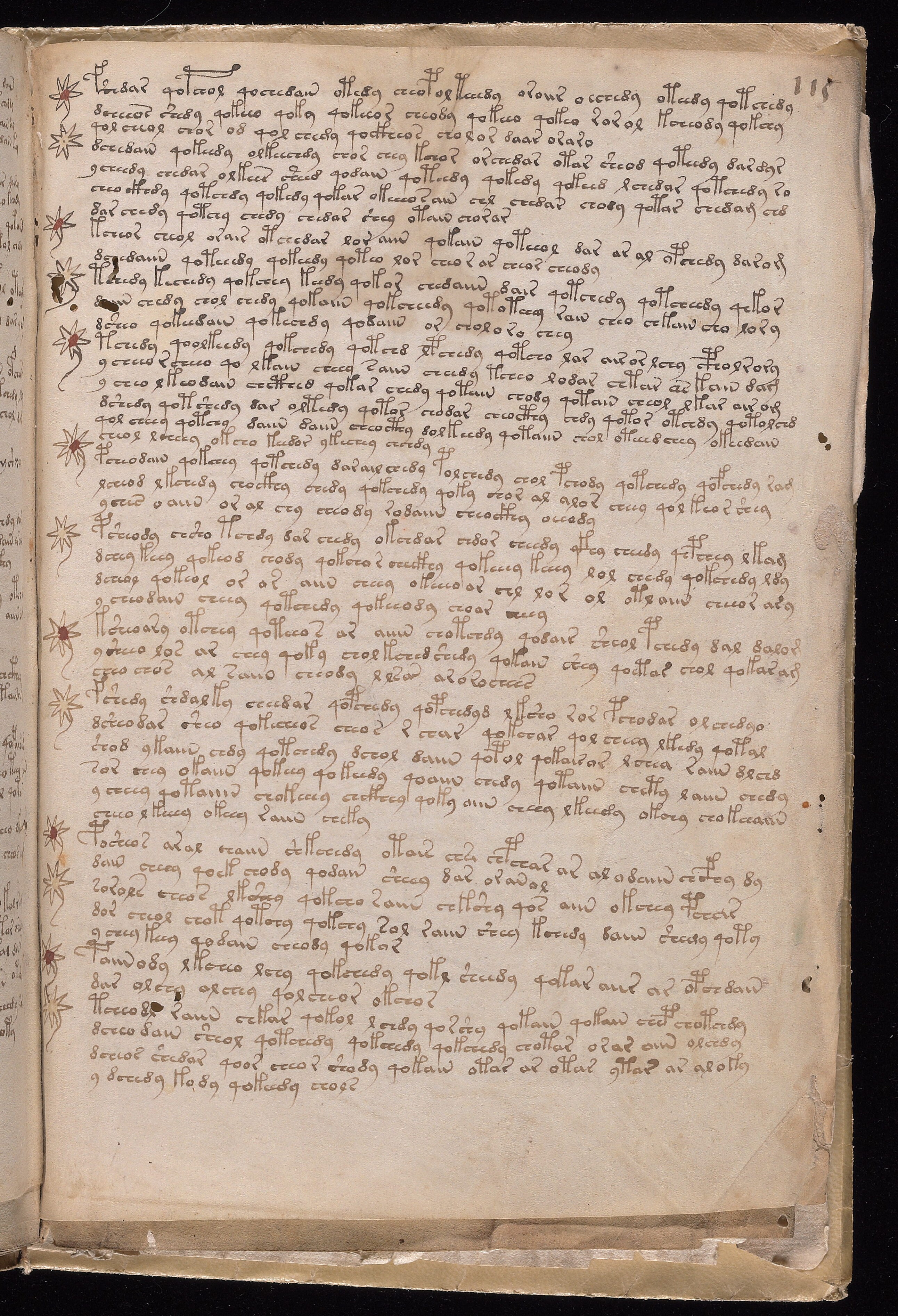 Folio f115r
