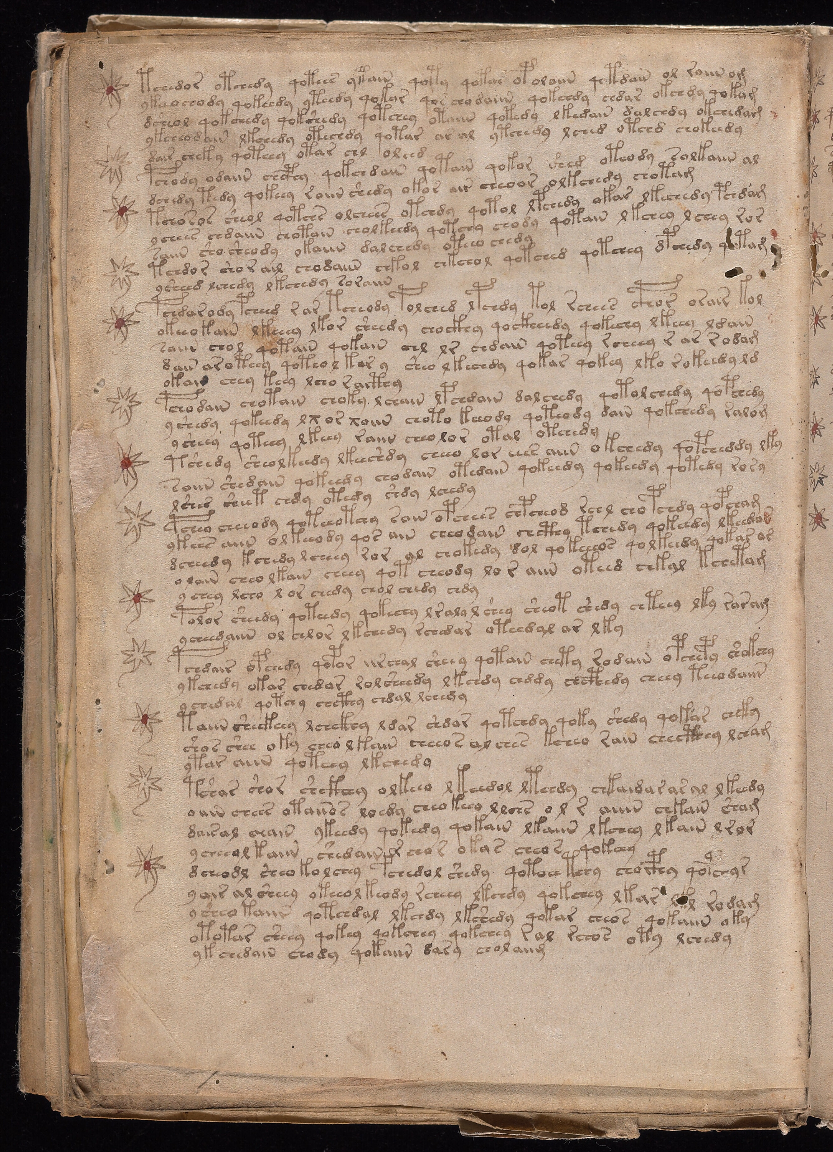 Folio f115v