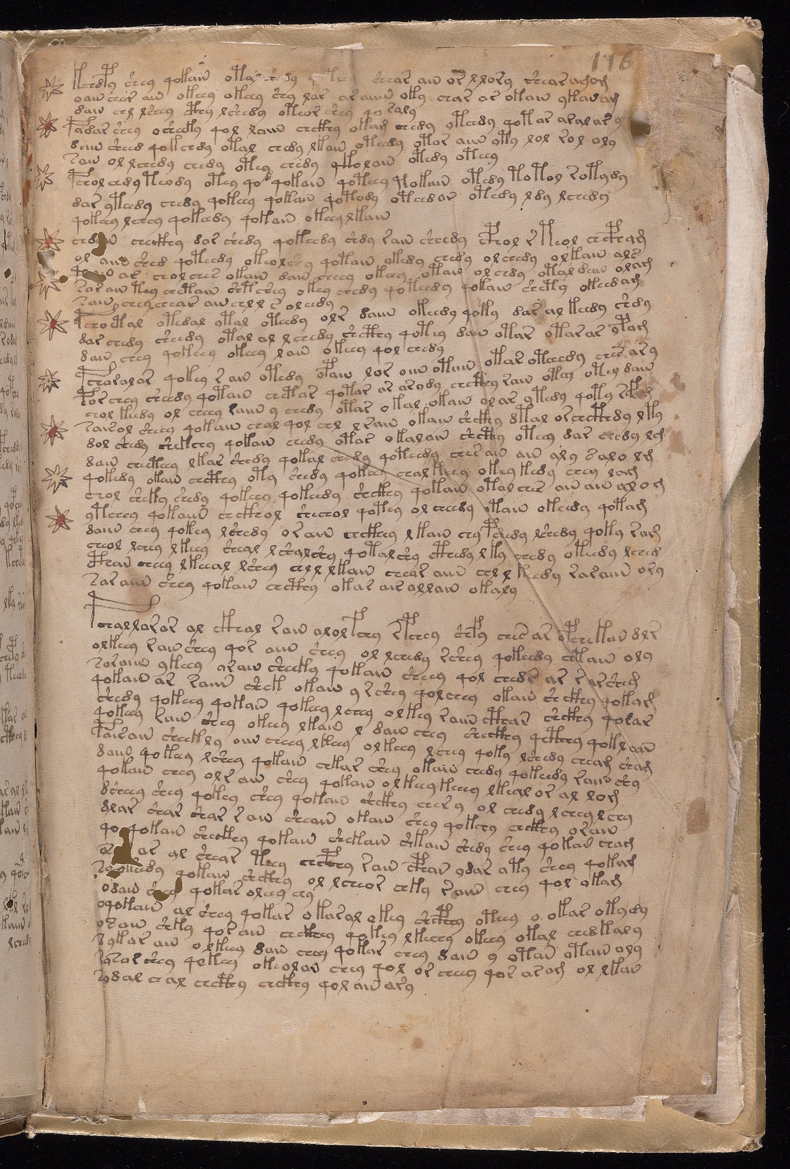 Folio f116r