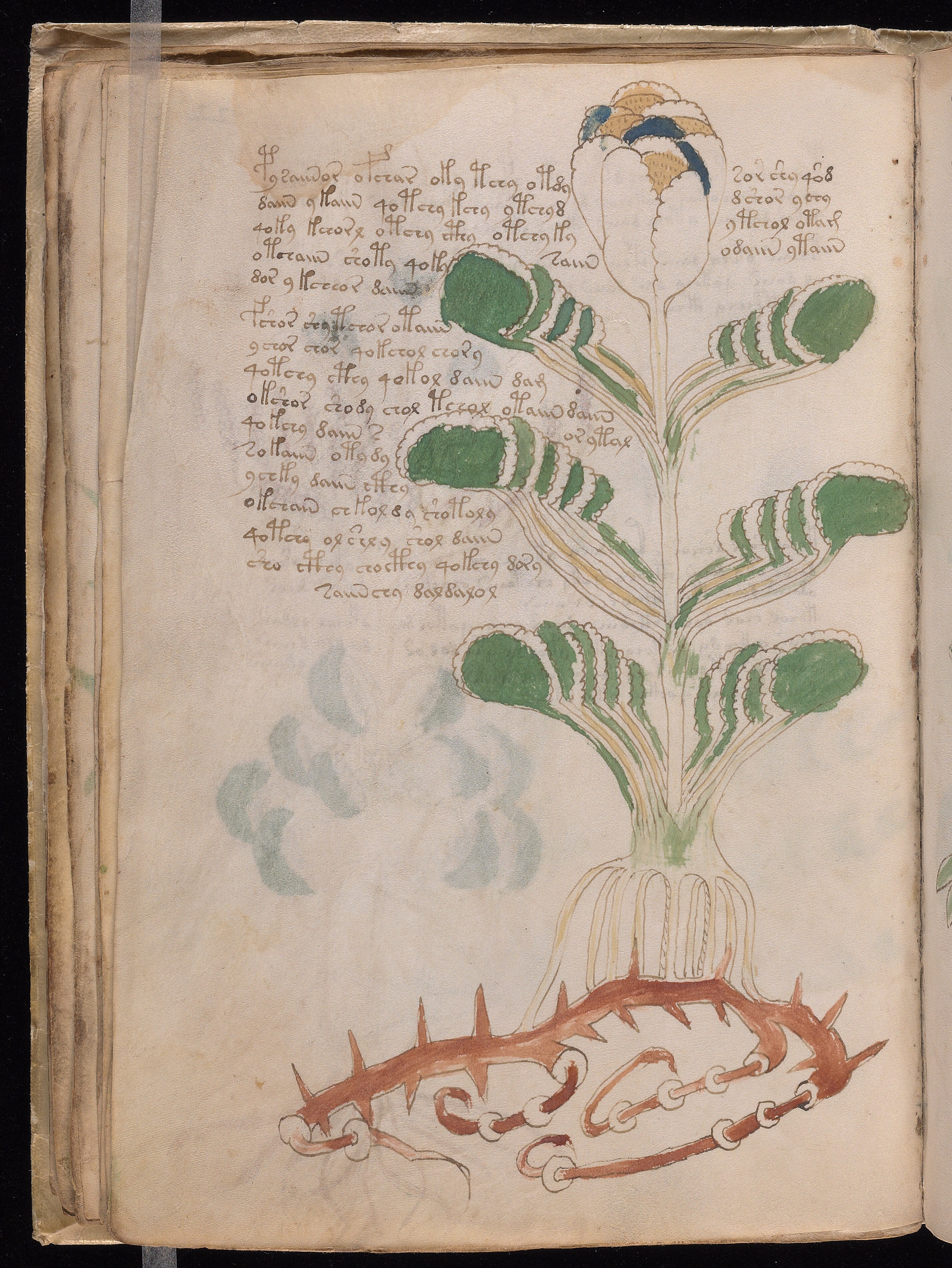 Folio f22v