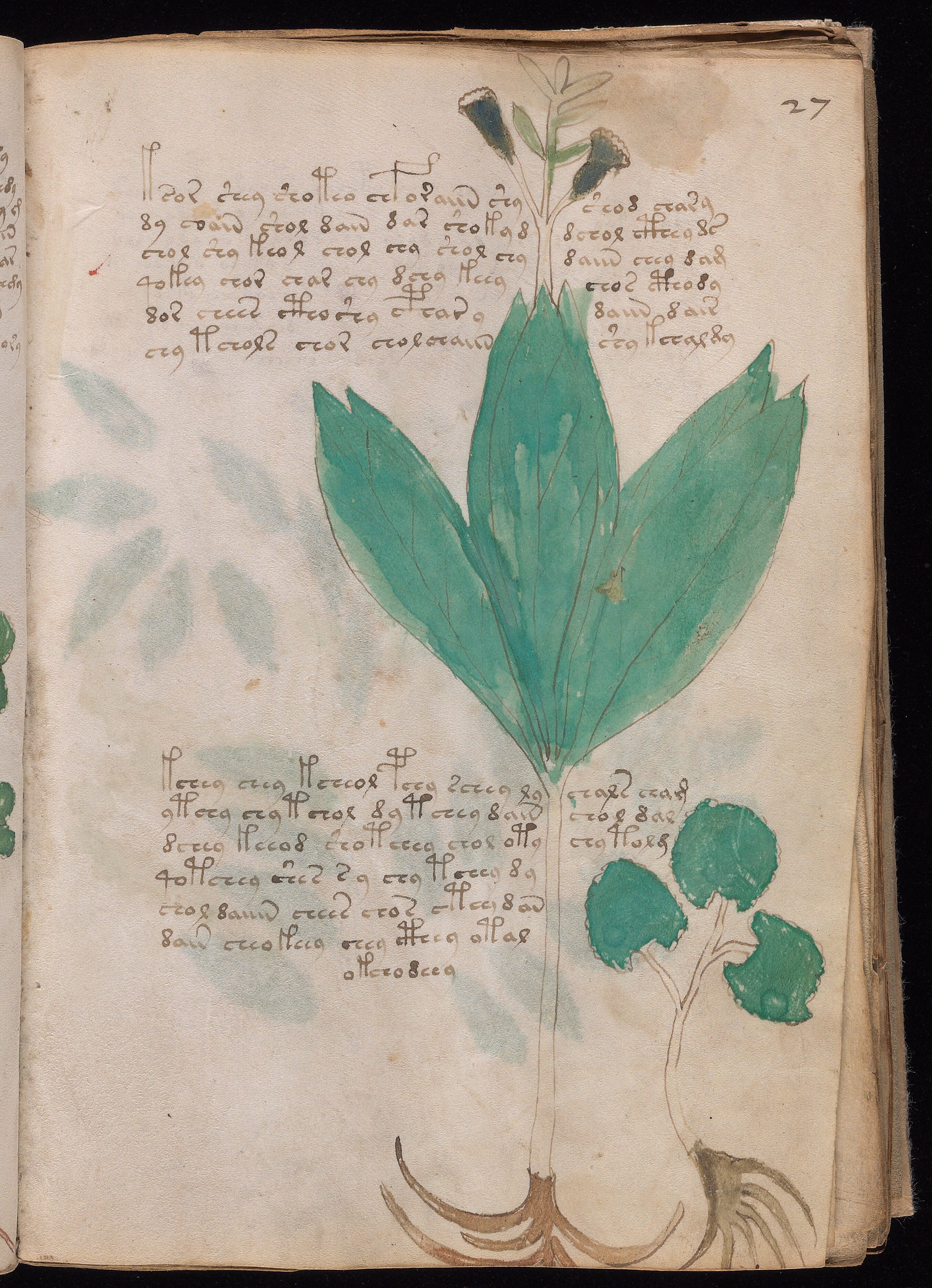 Folio f27r