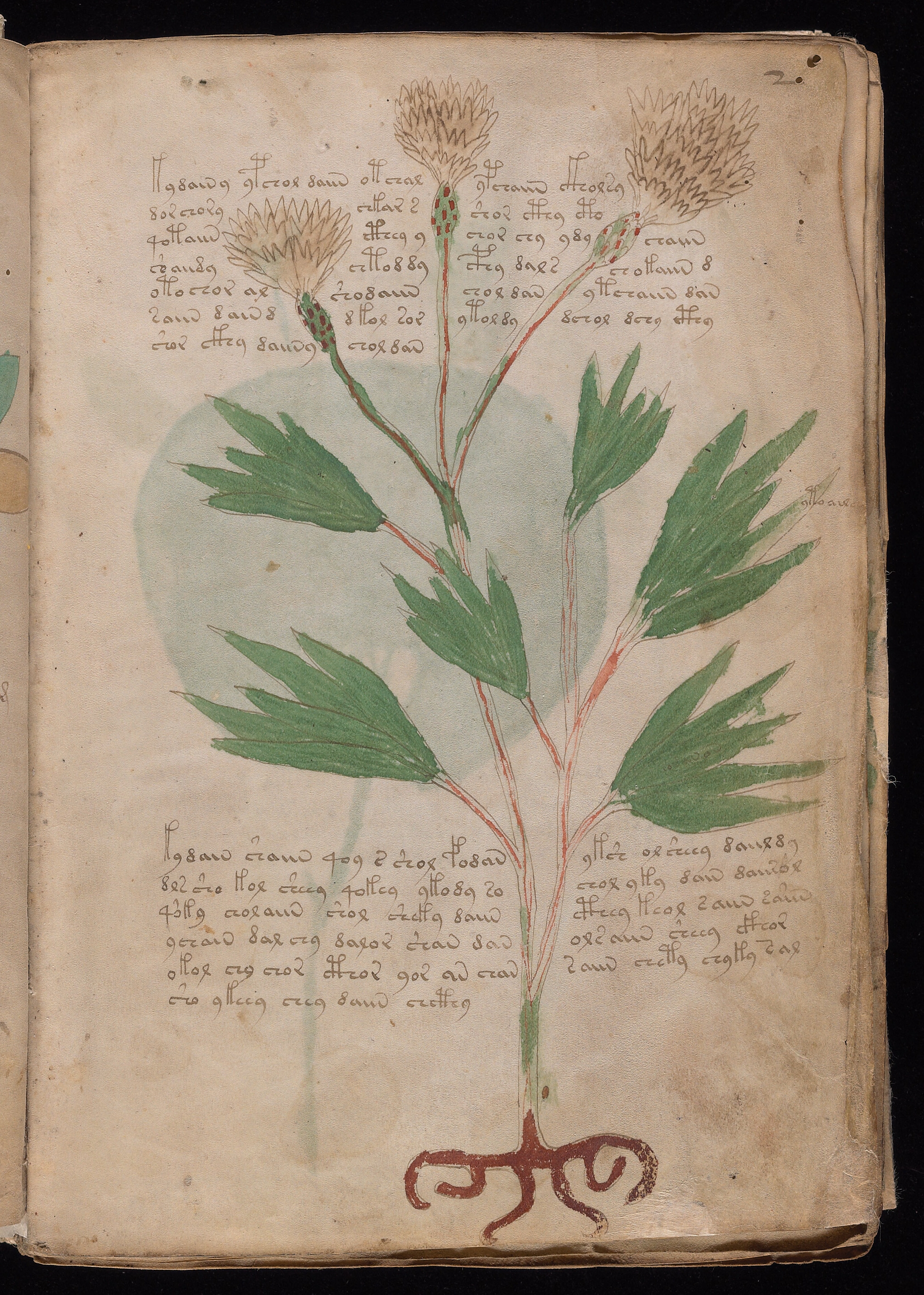 Folio f2r