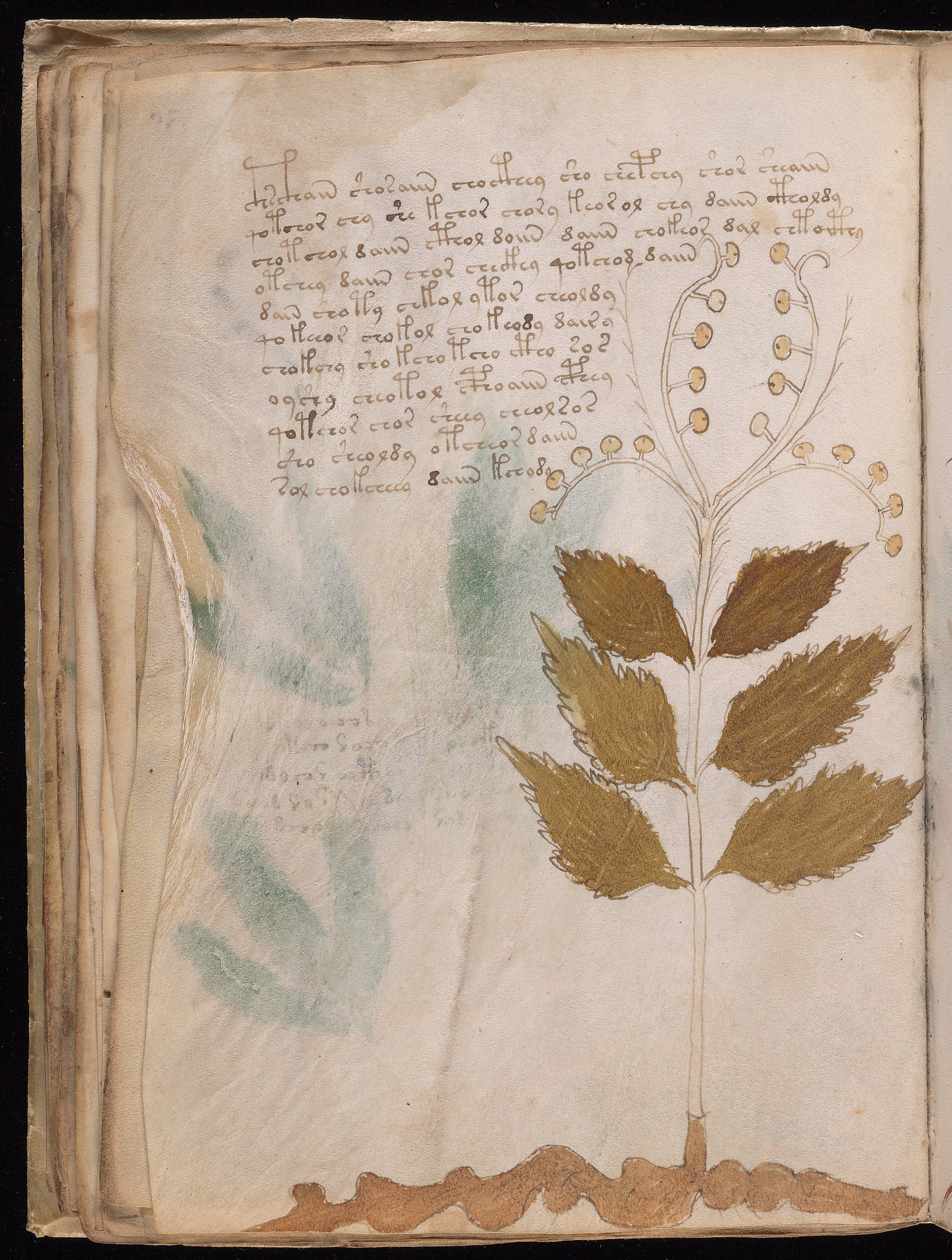 Folio f30v