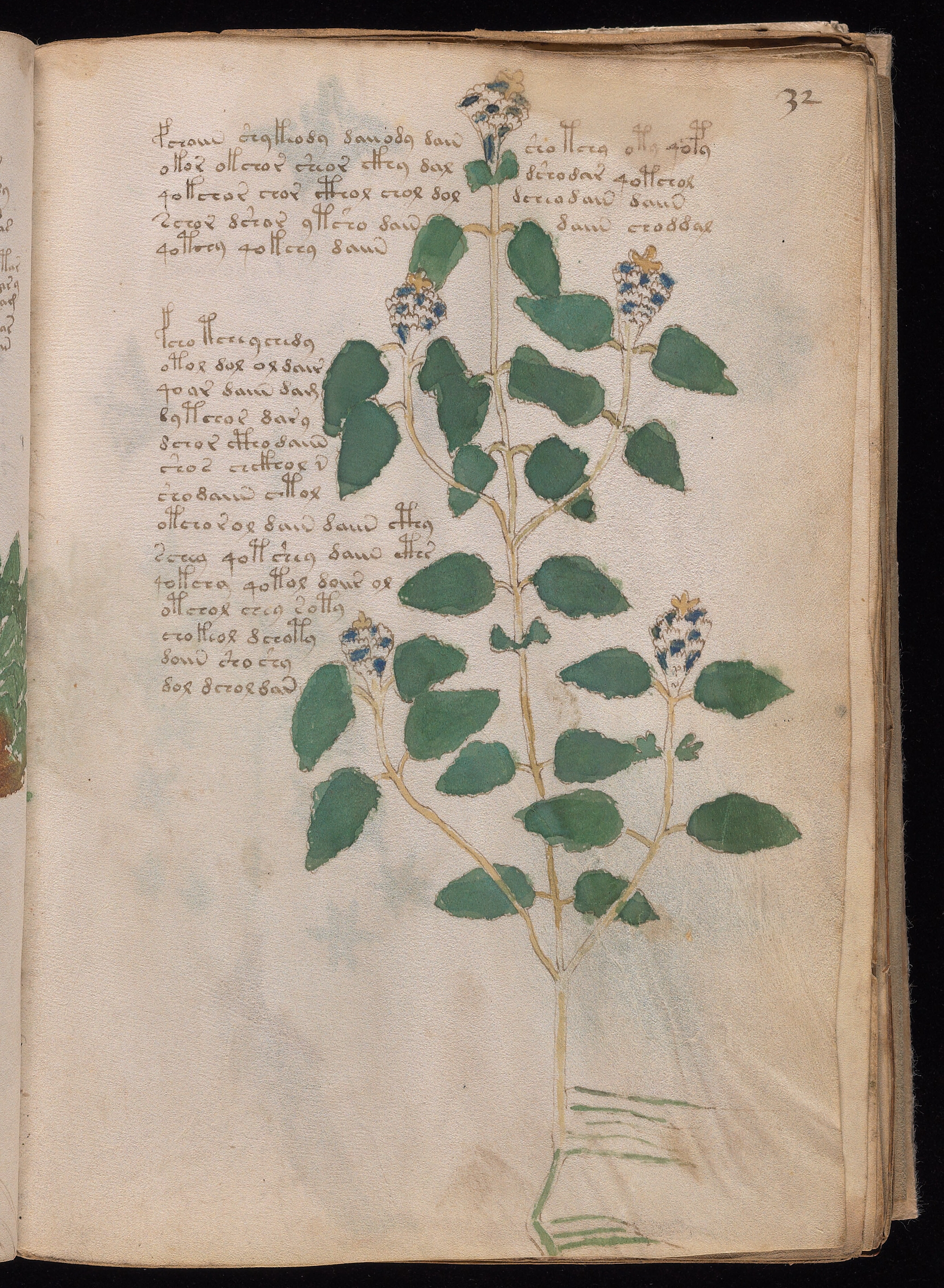 Folio f32r