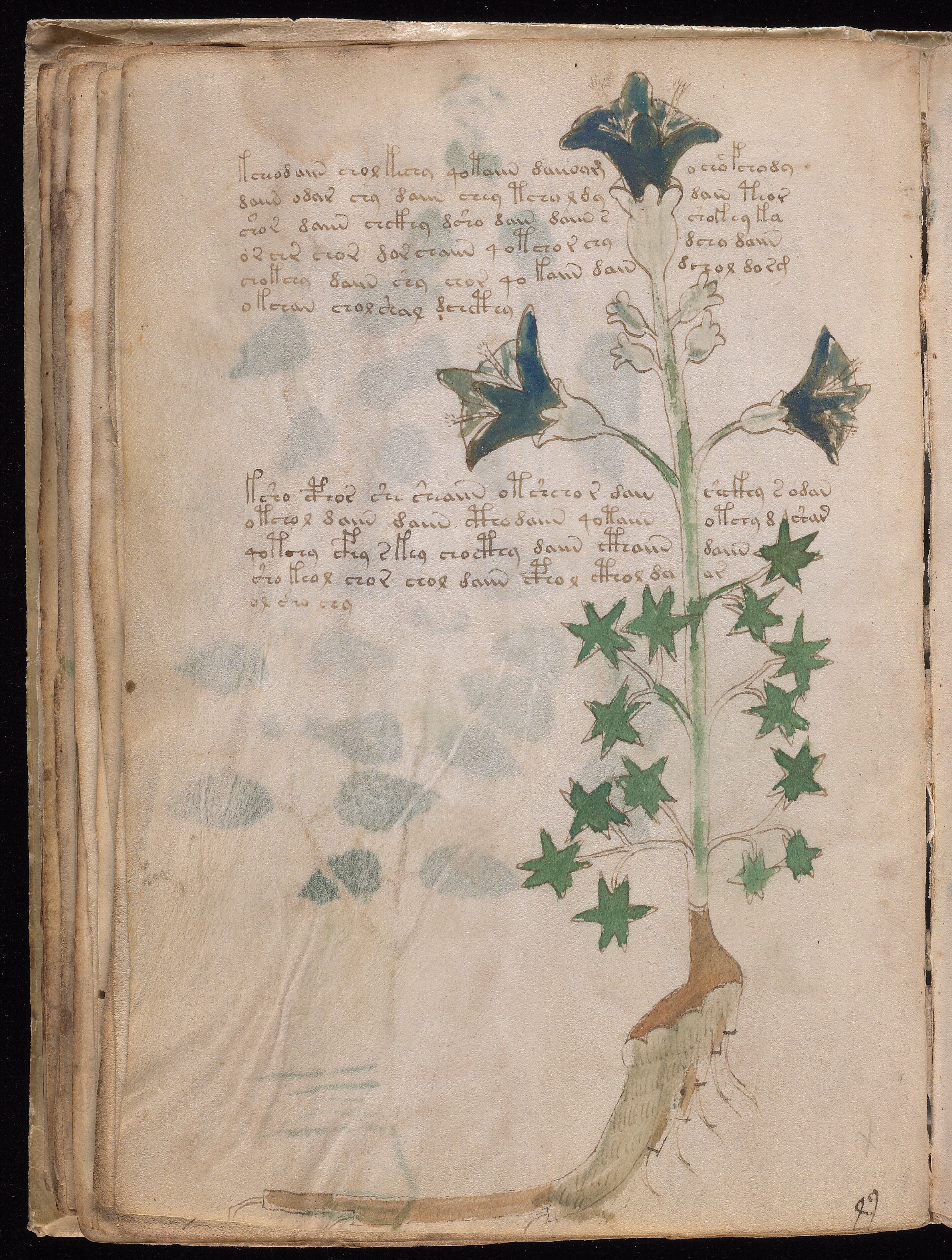 Folio f32v