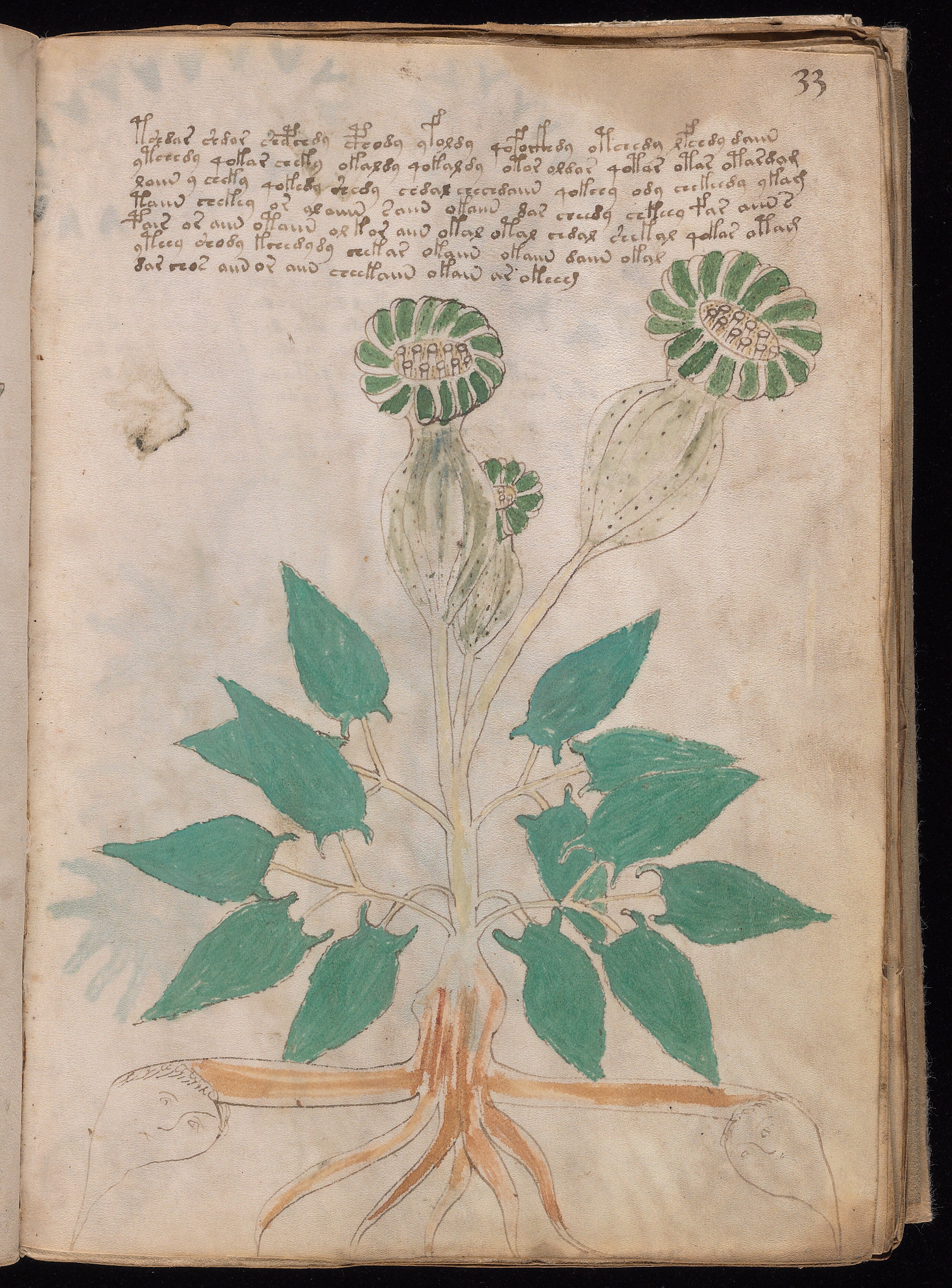 Folio f33r
