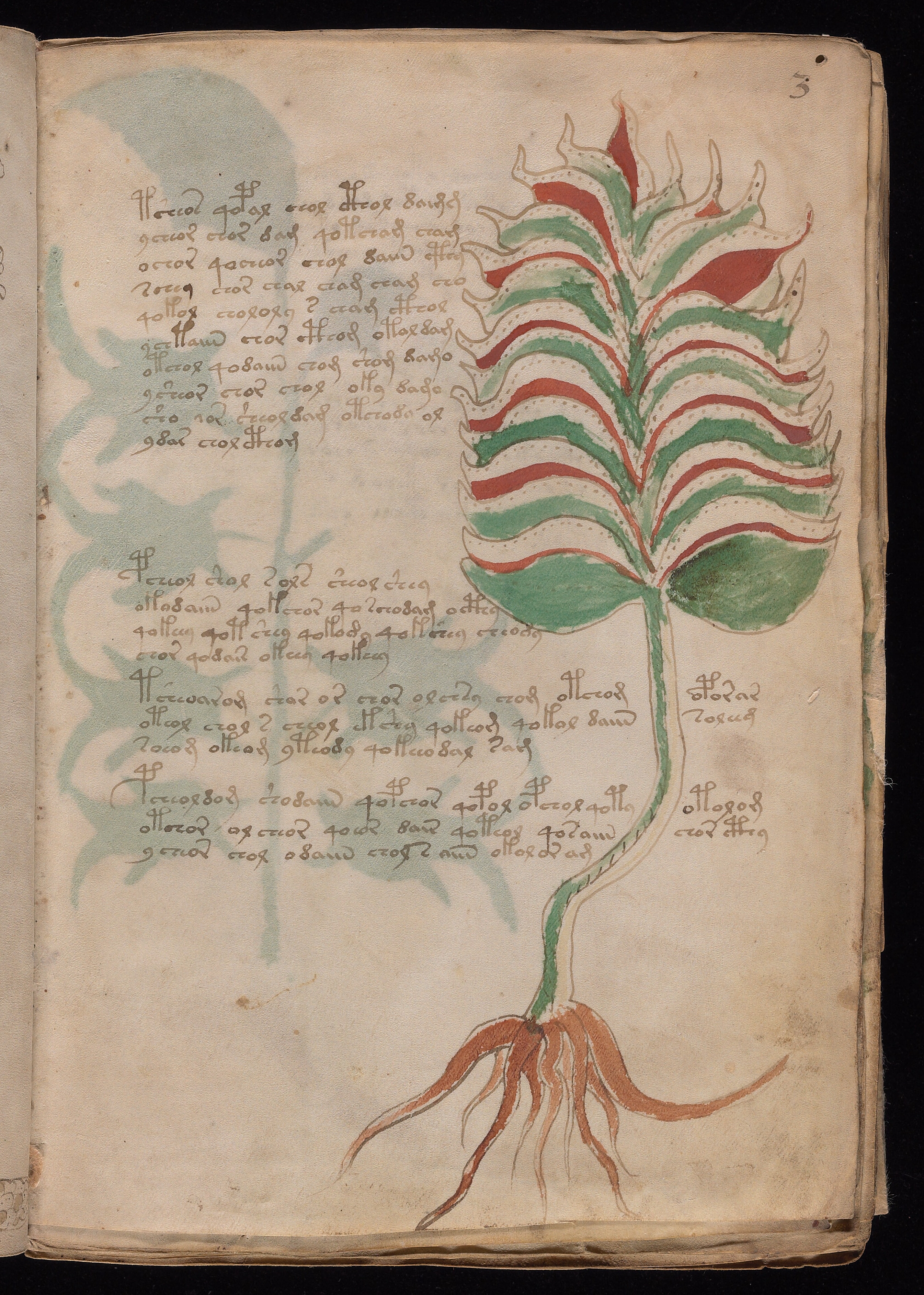 Folio f3r