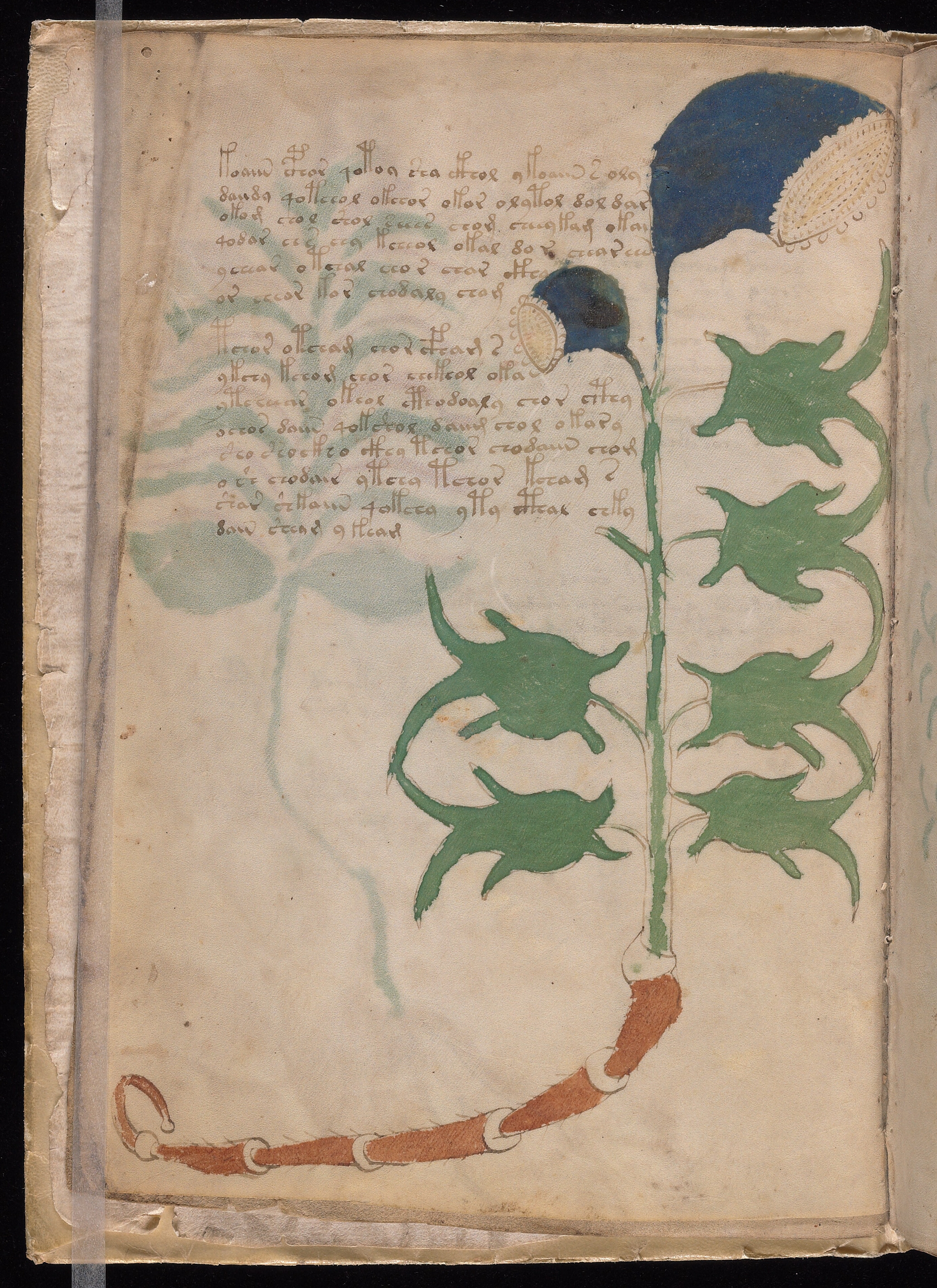 Folio f3v