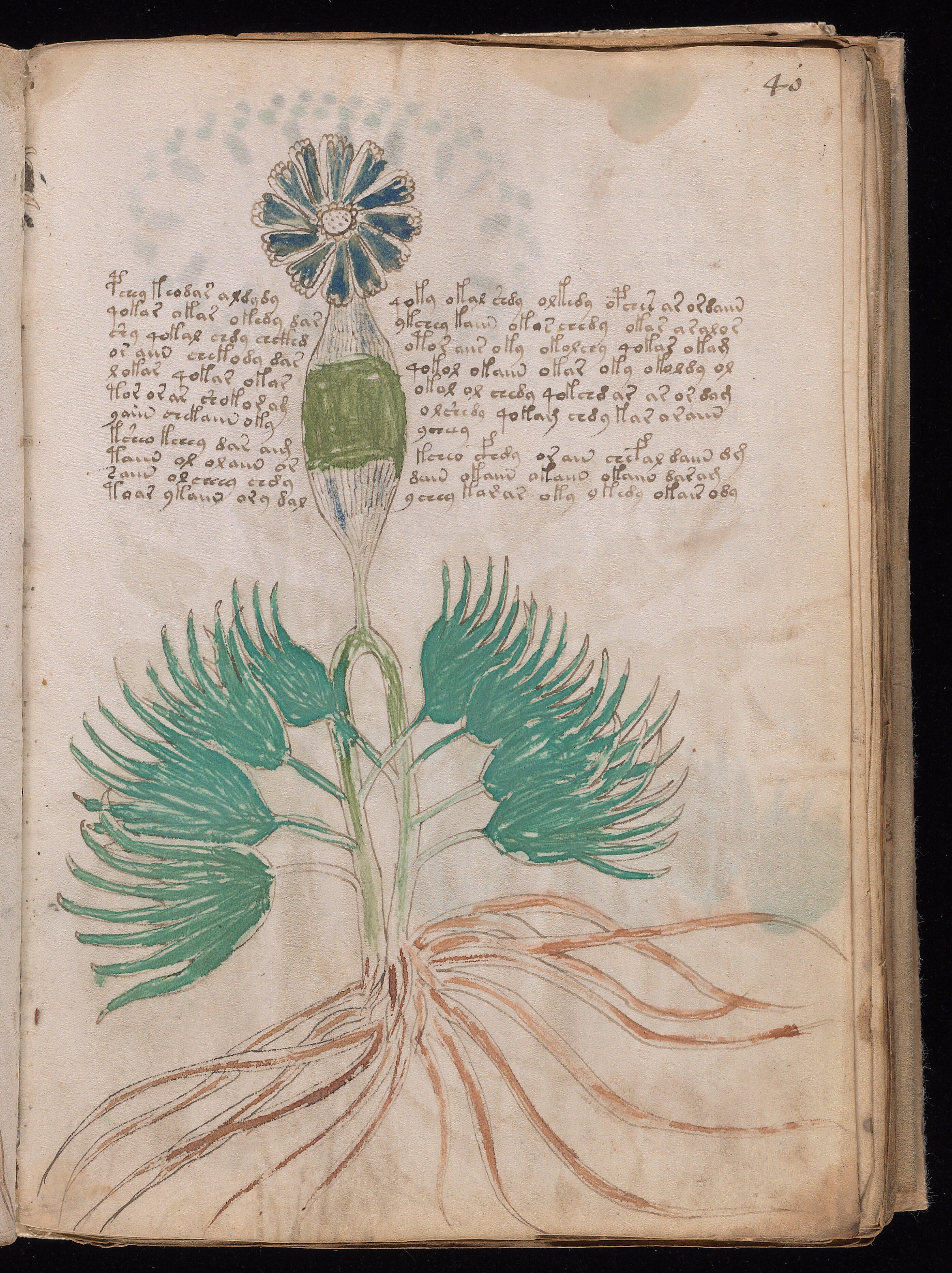Folio f40r