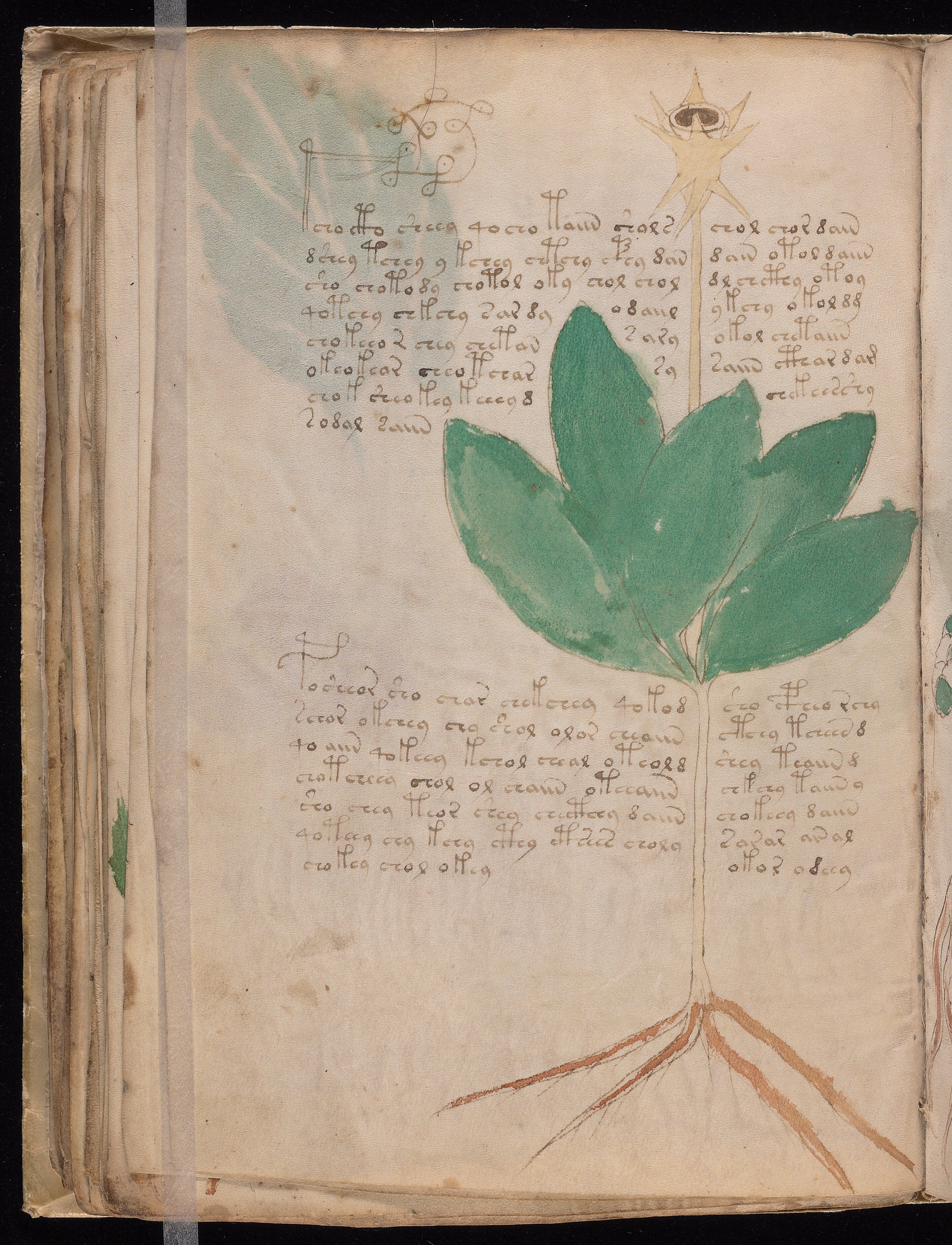 Folio f42v