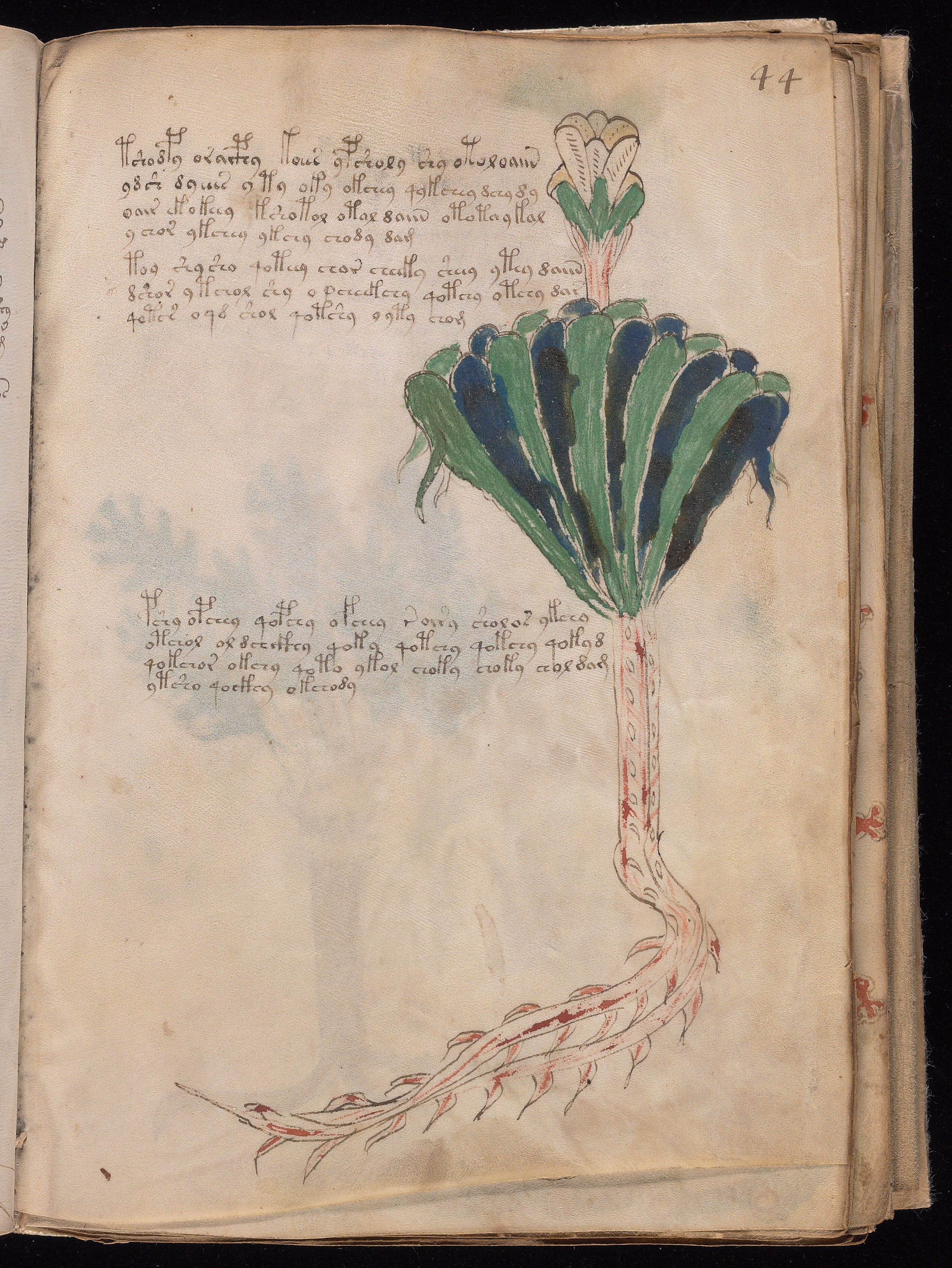 Folio f44r