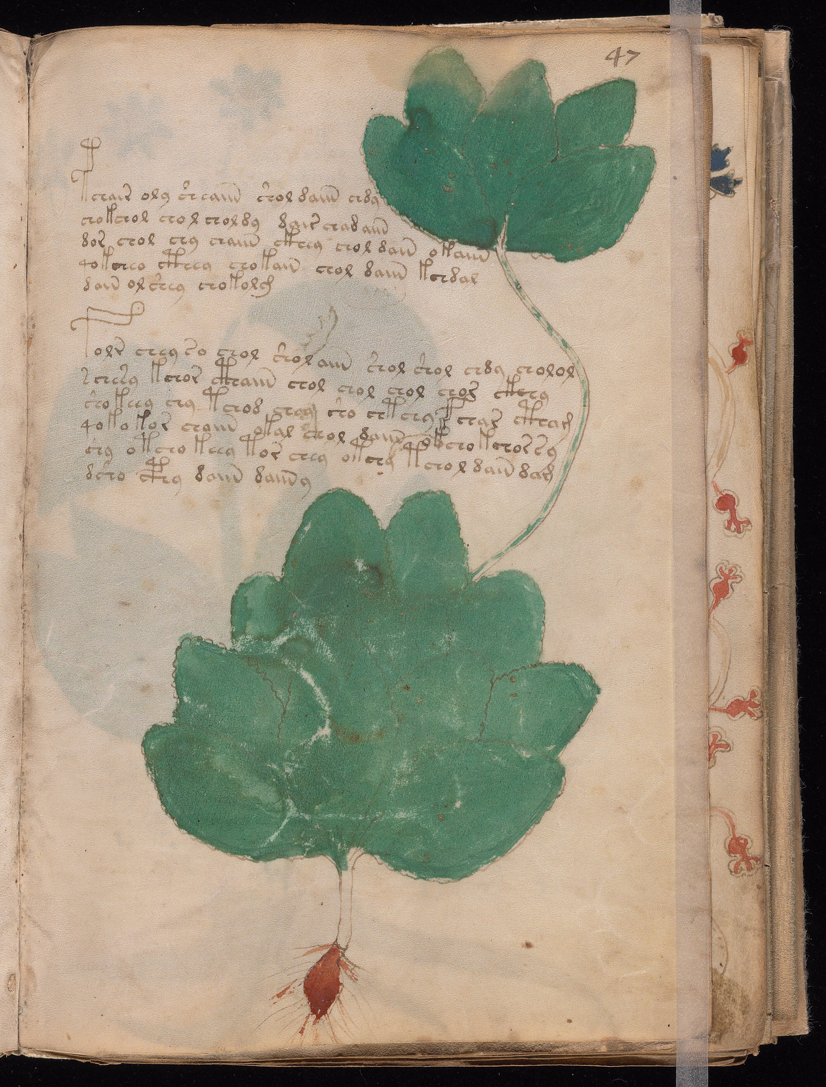 Folio f47r