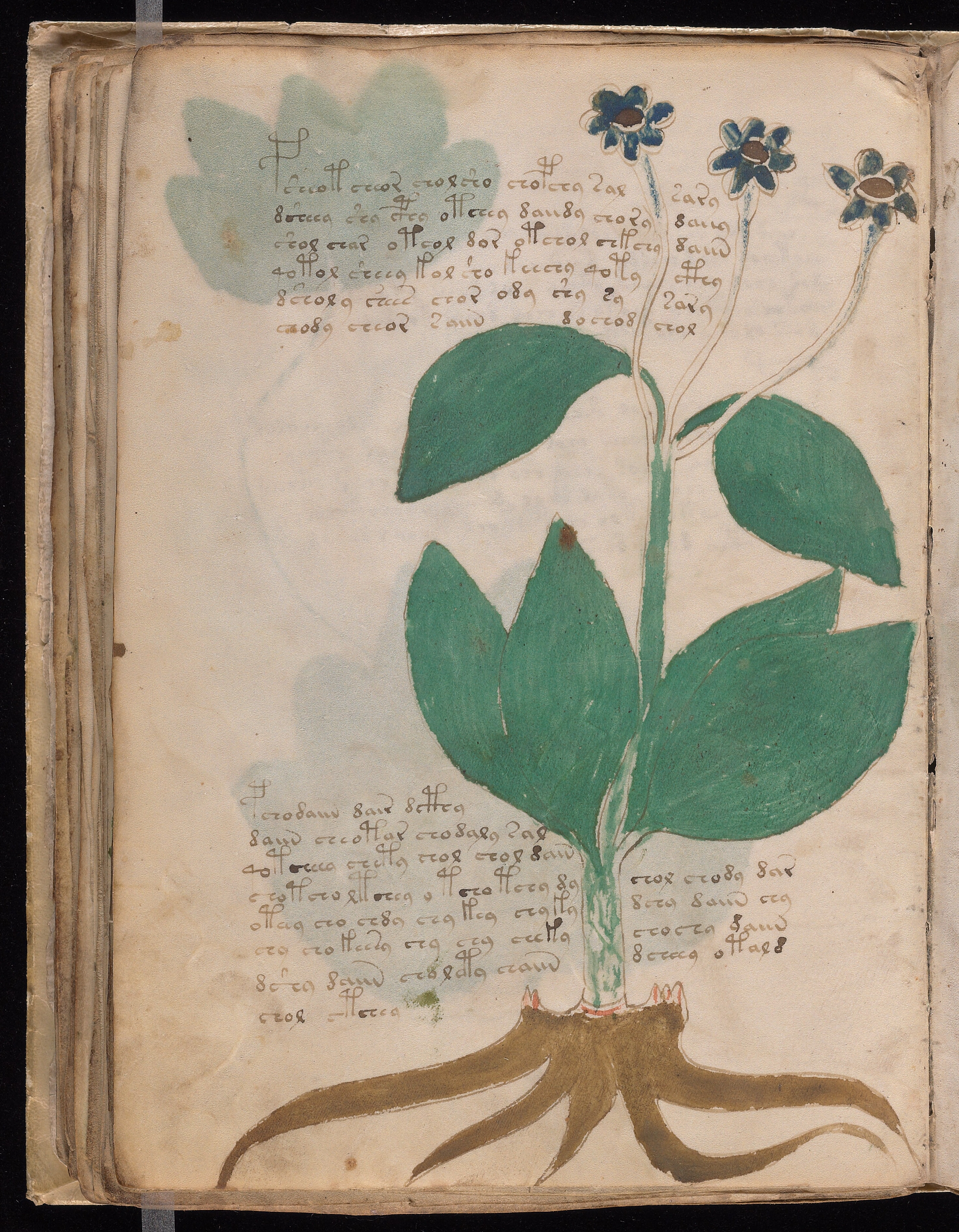 Folio f47v