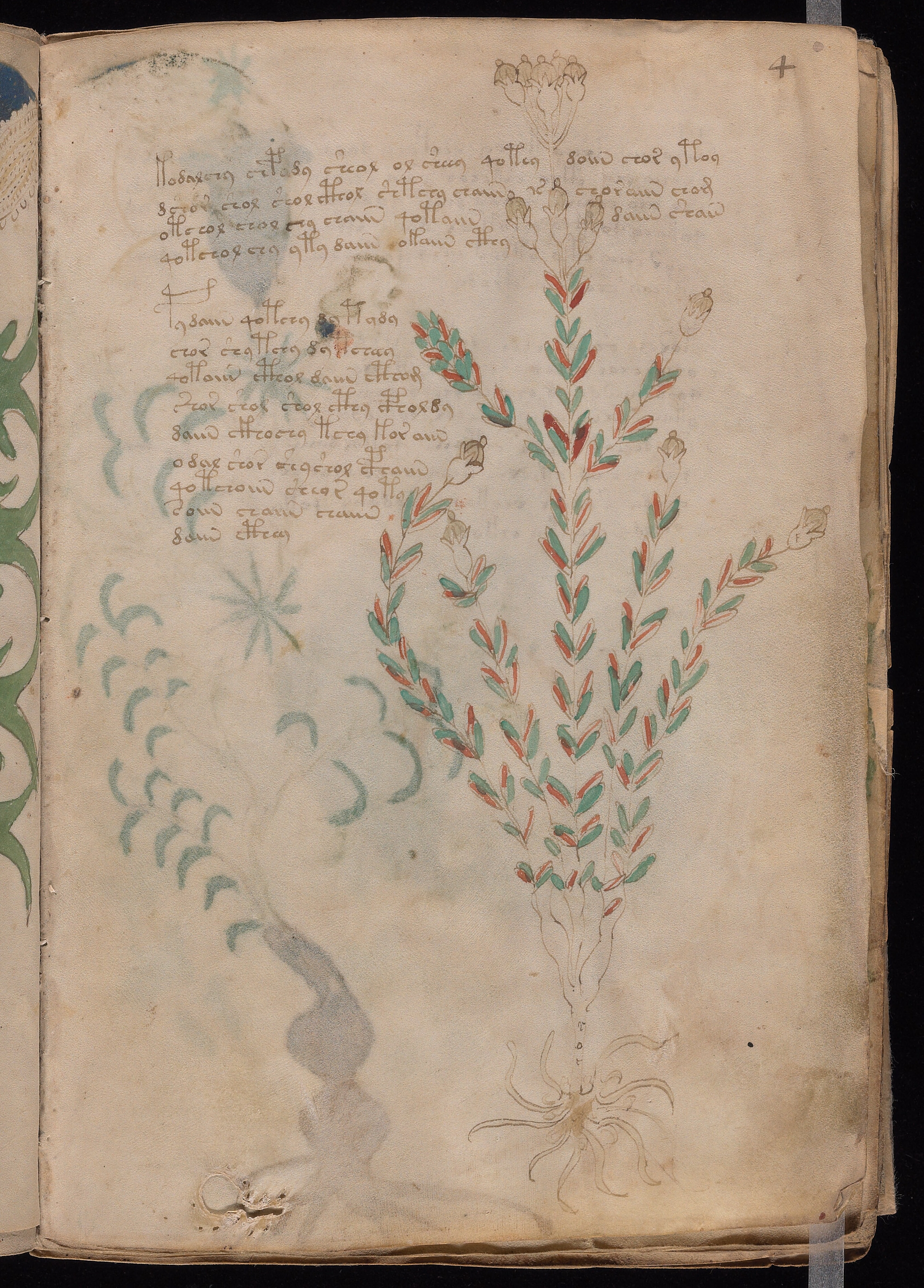 Folio f4r