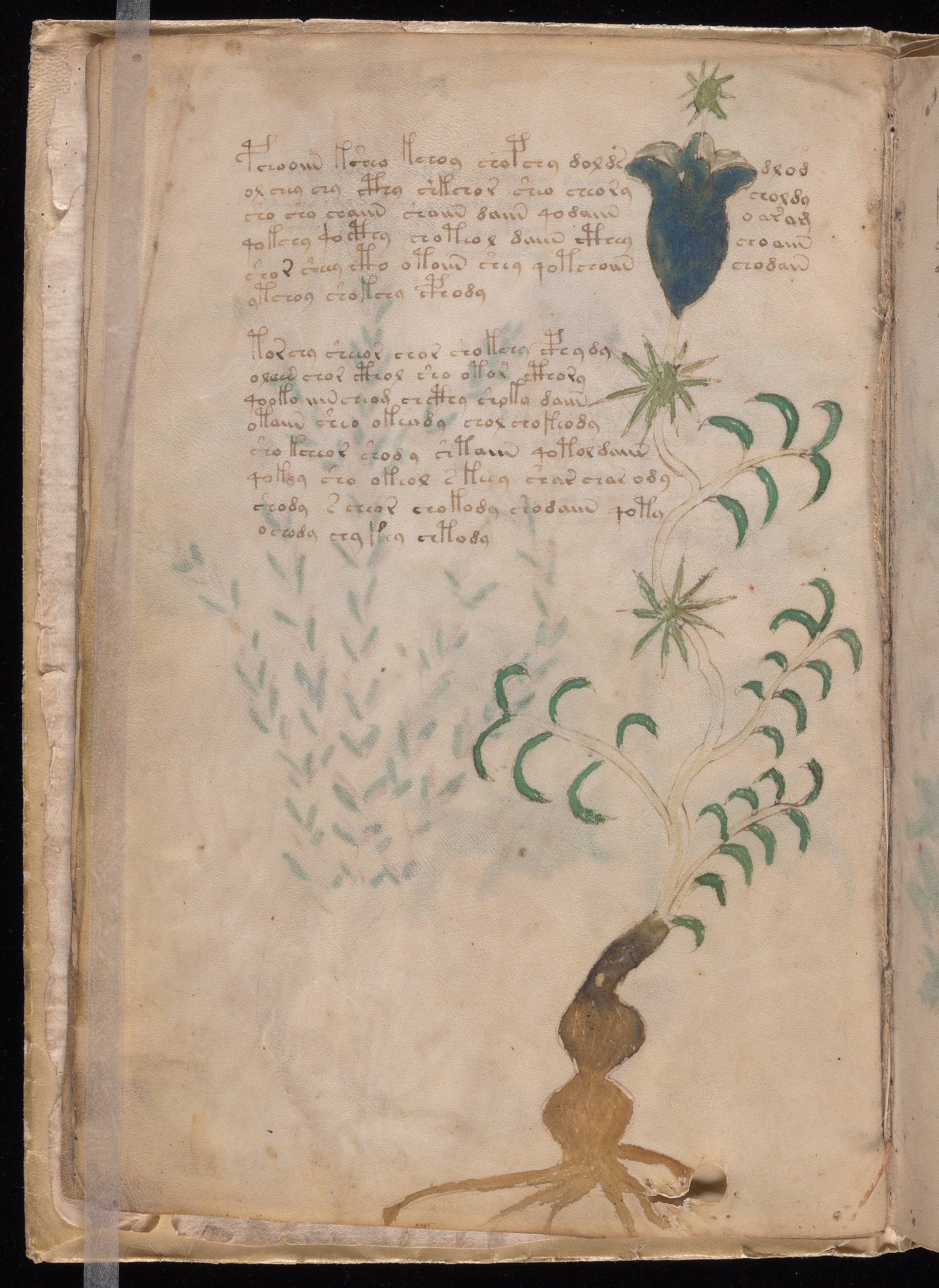 Folio f4v