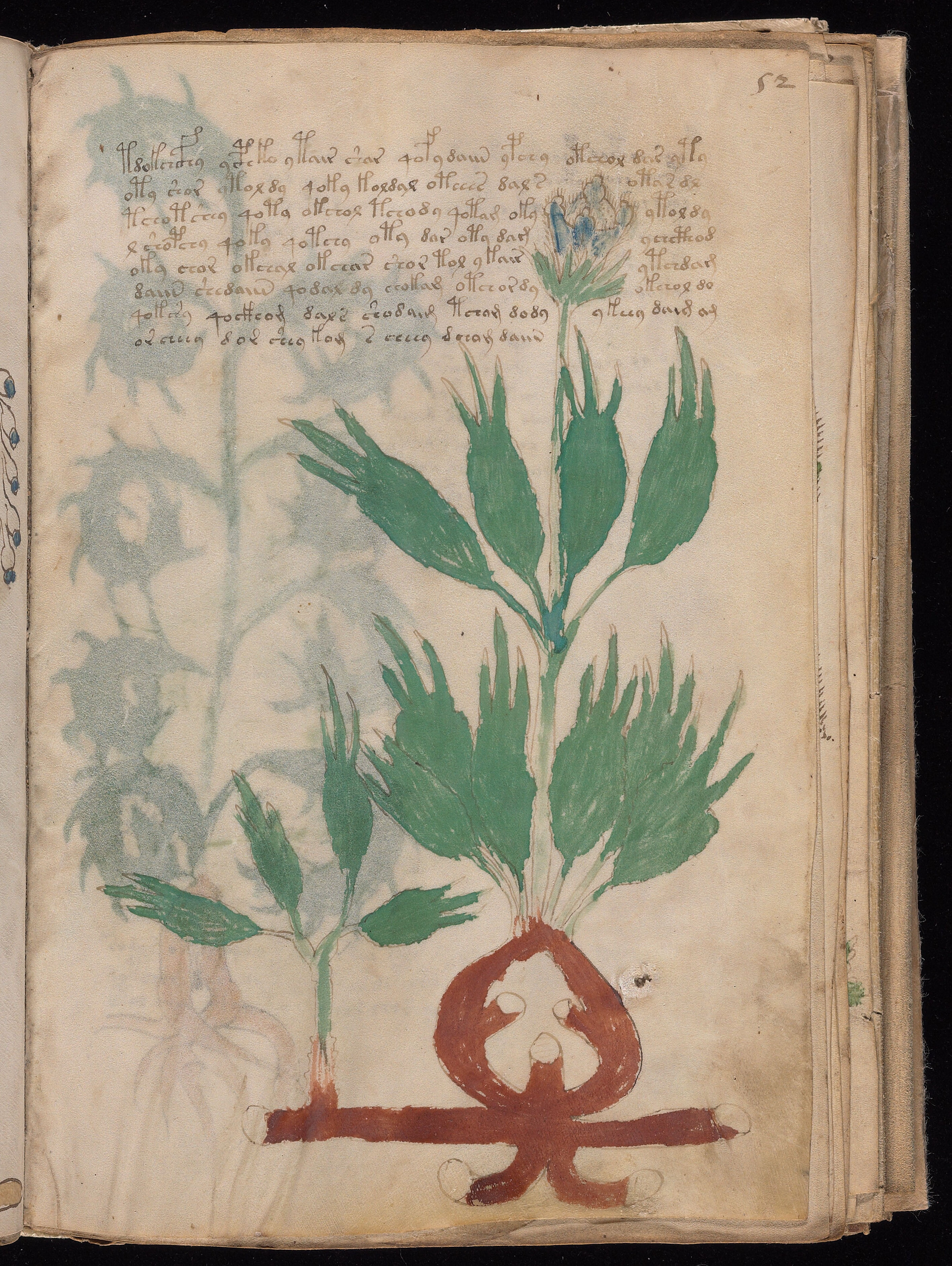 Folio f52r
