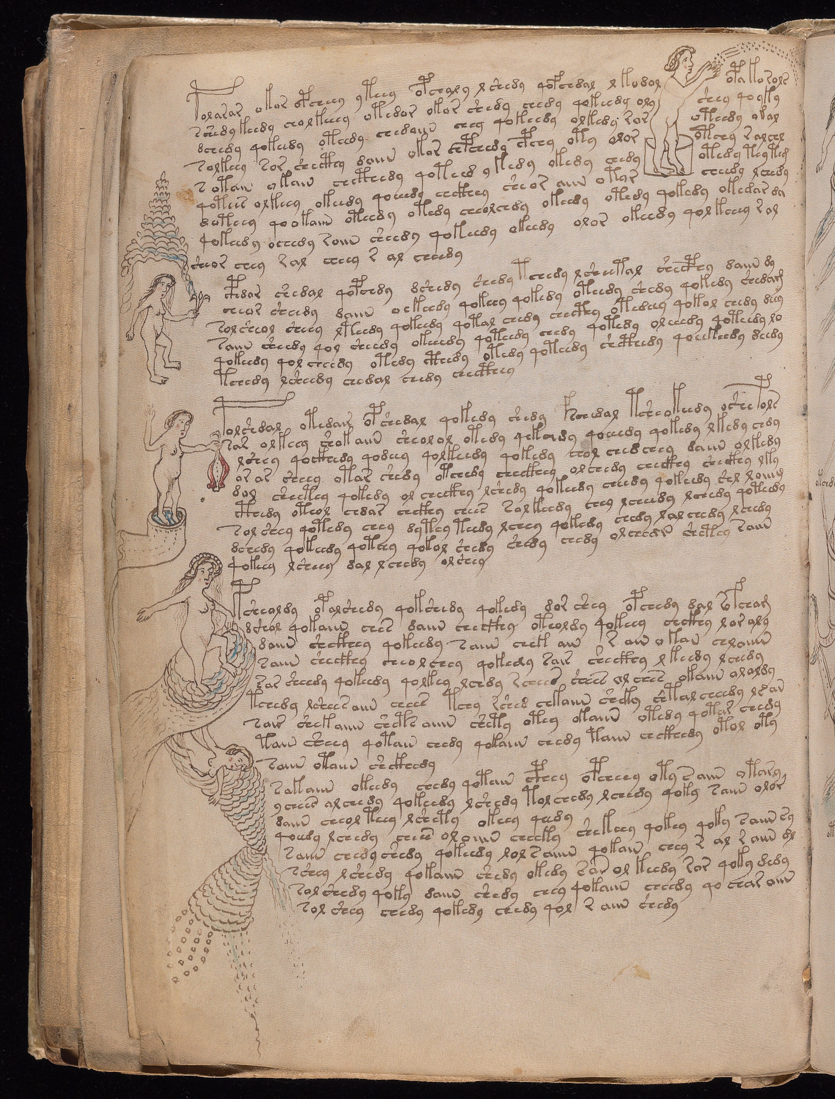 Folio f76v