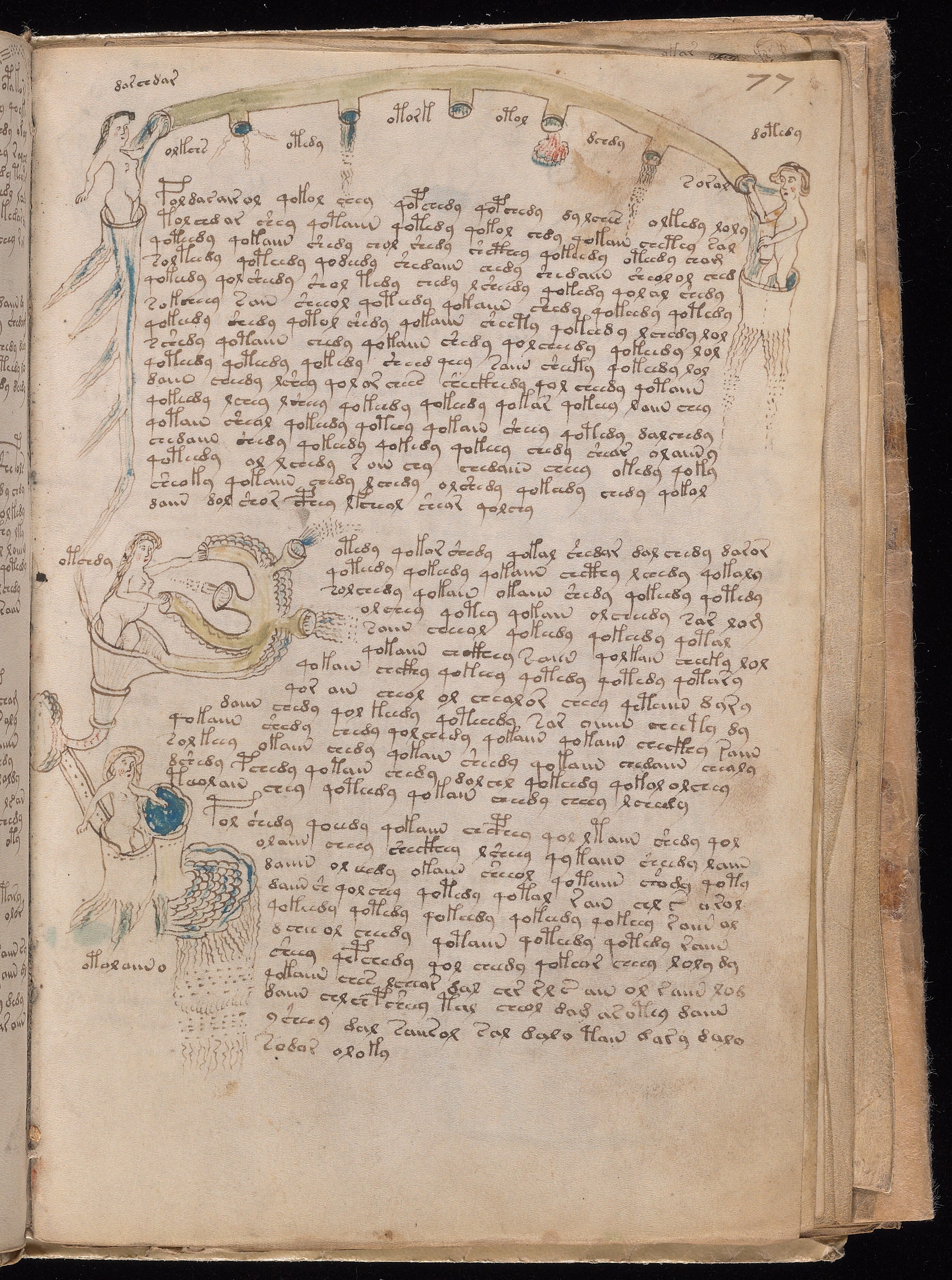 Folio f77r
