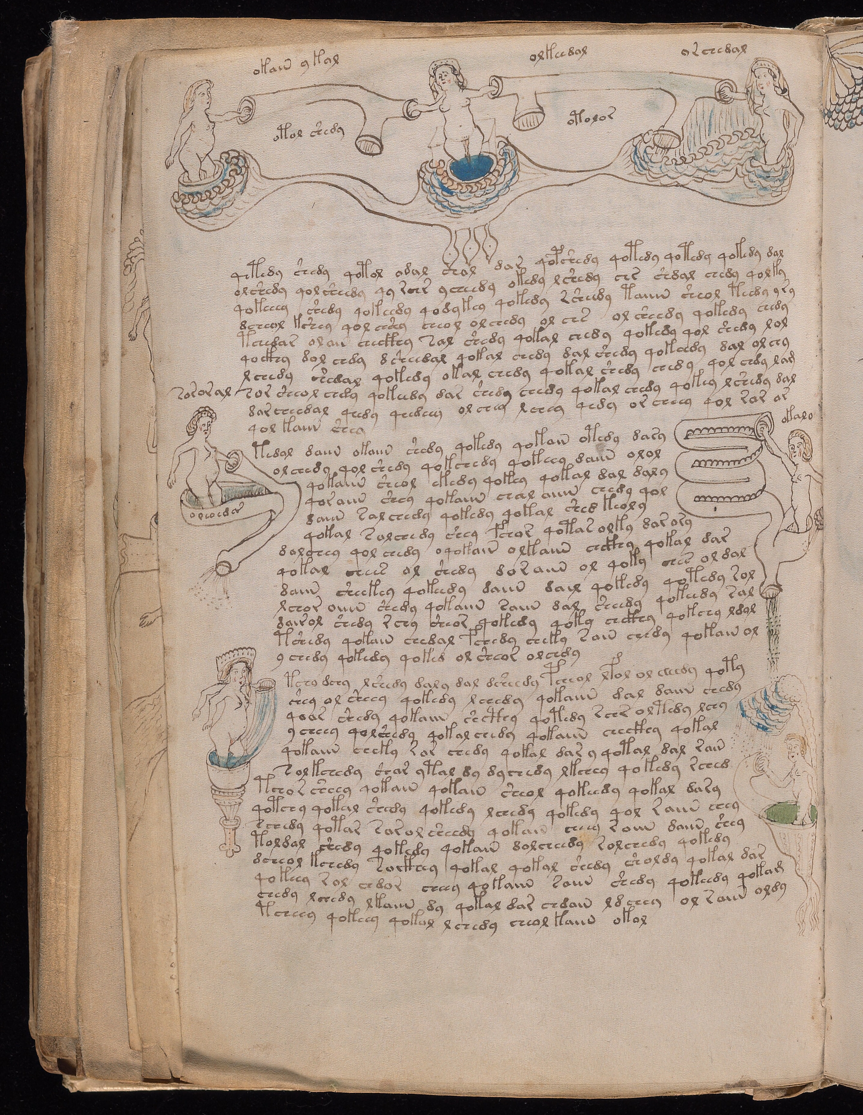 Folio f77v