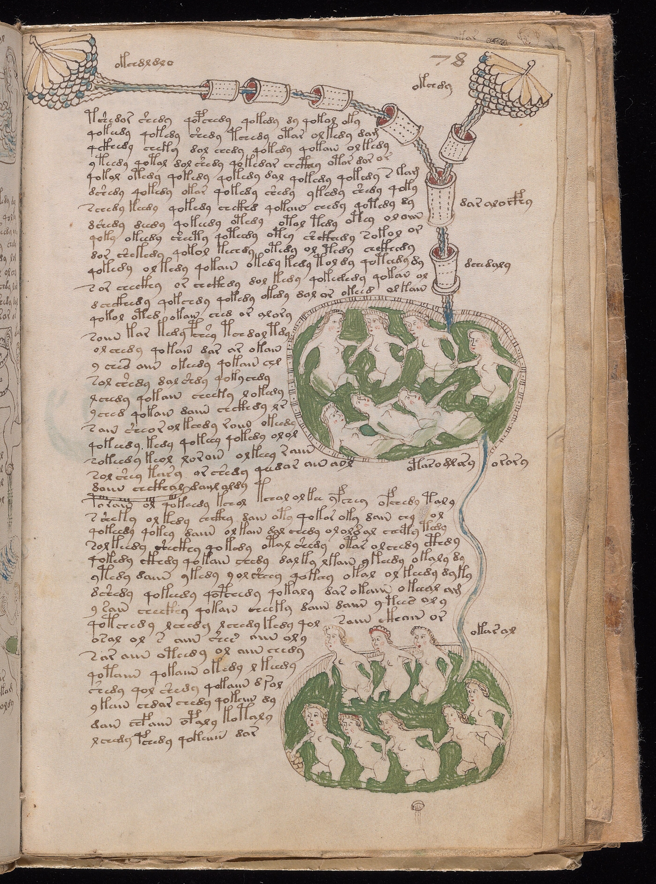 Folio f78r