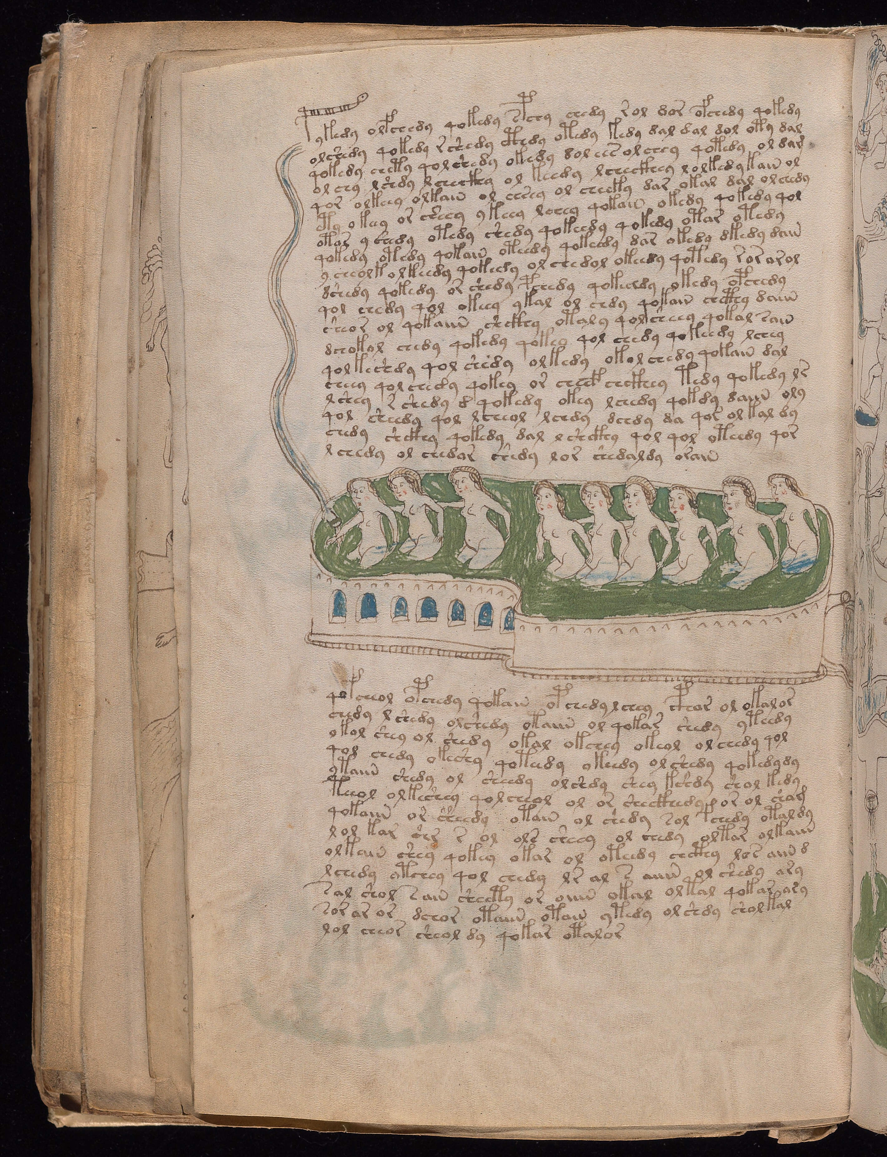 Folio f78v