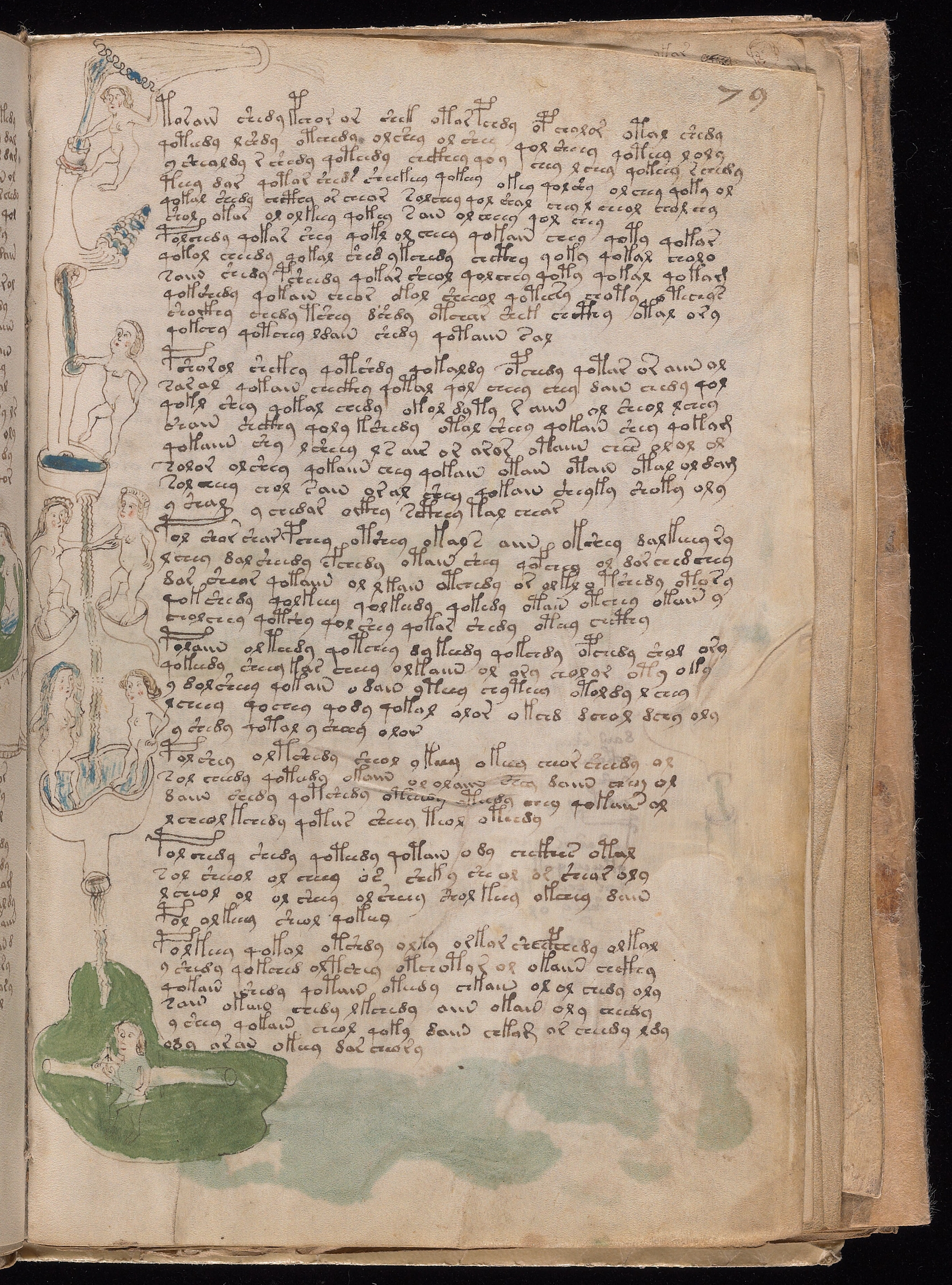 Folio f79r