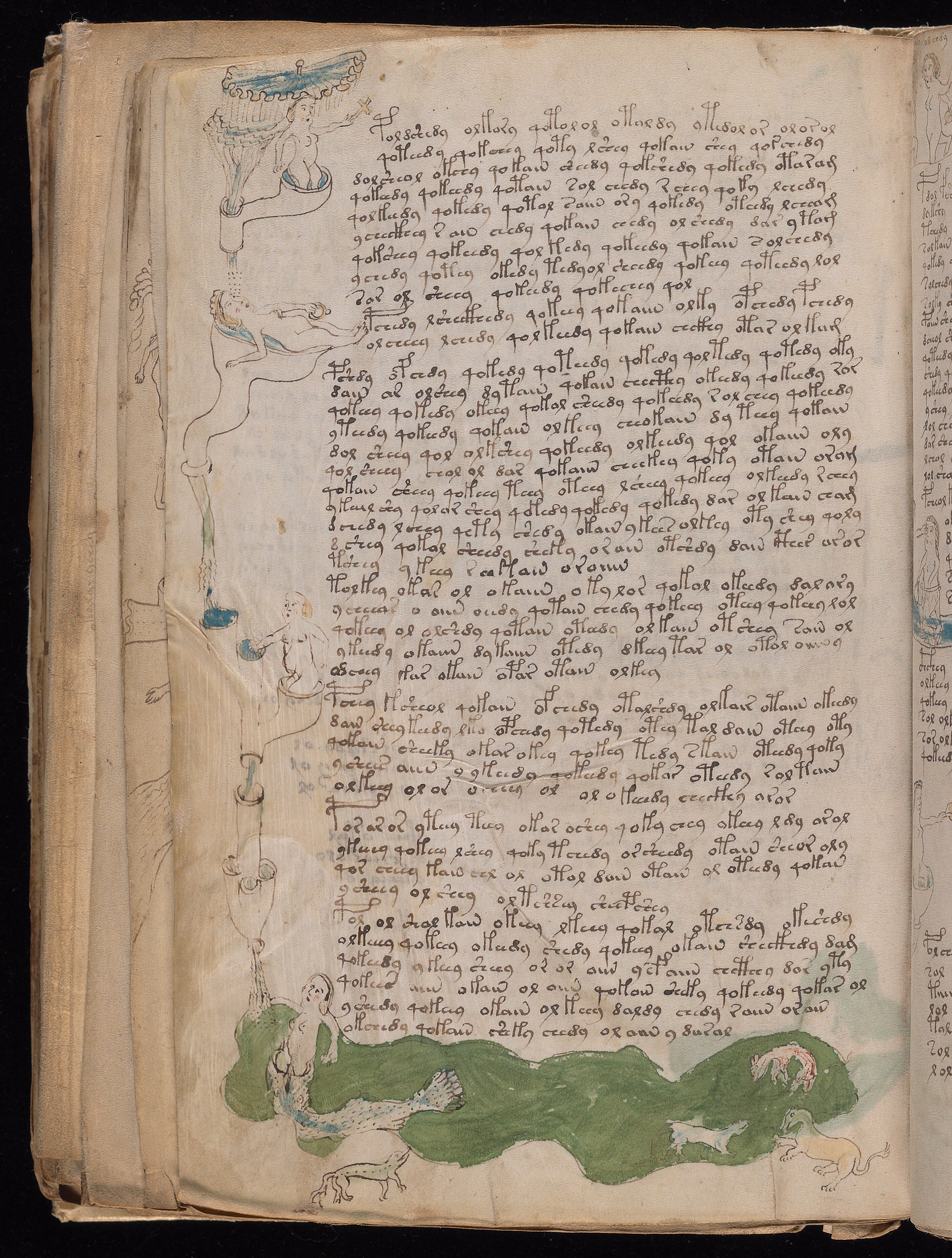 Folio f79v