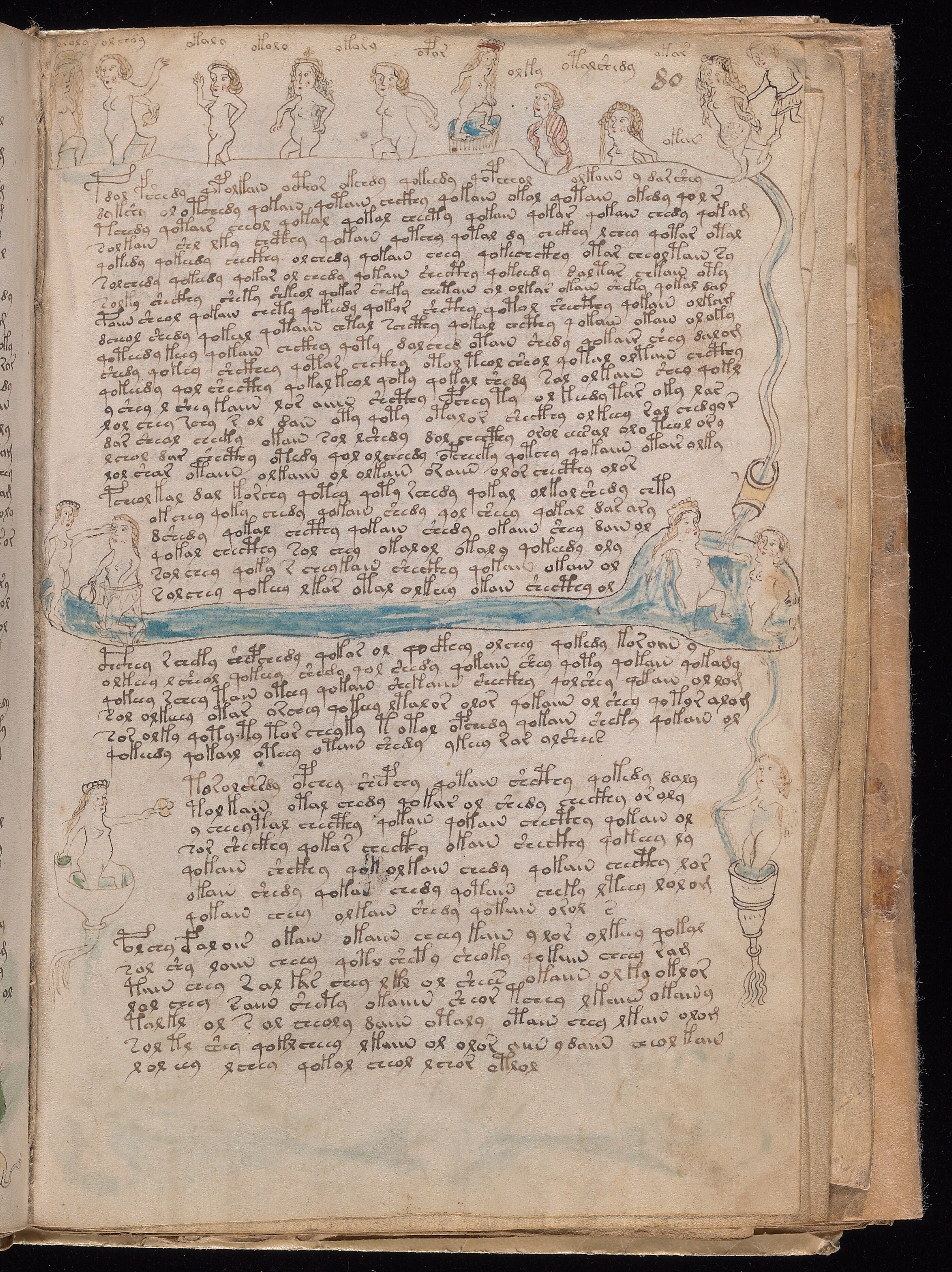 Folio f80r