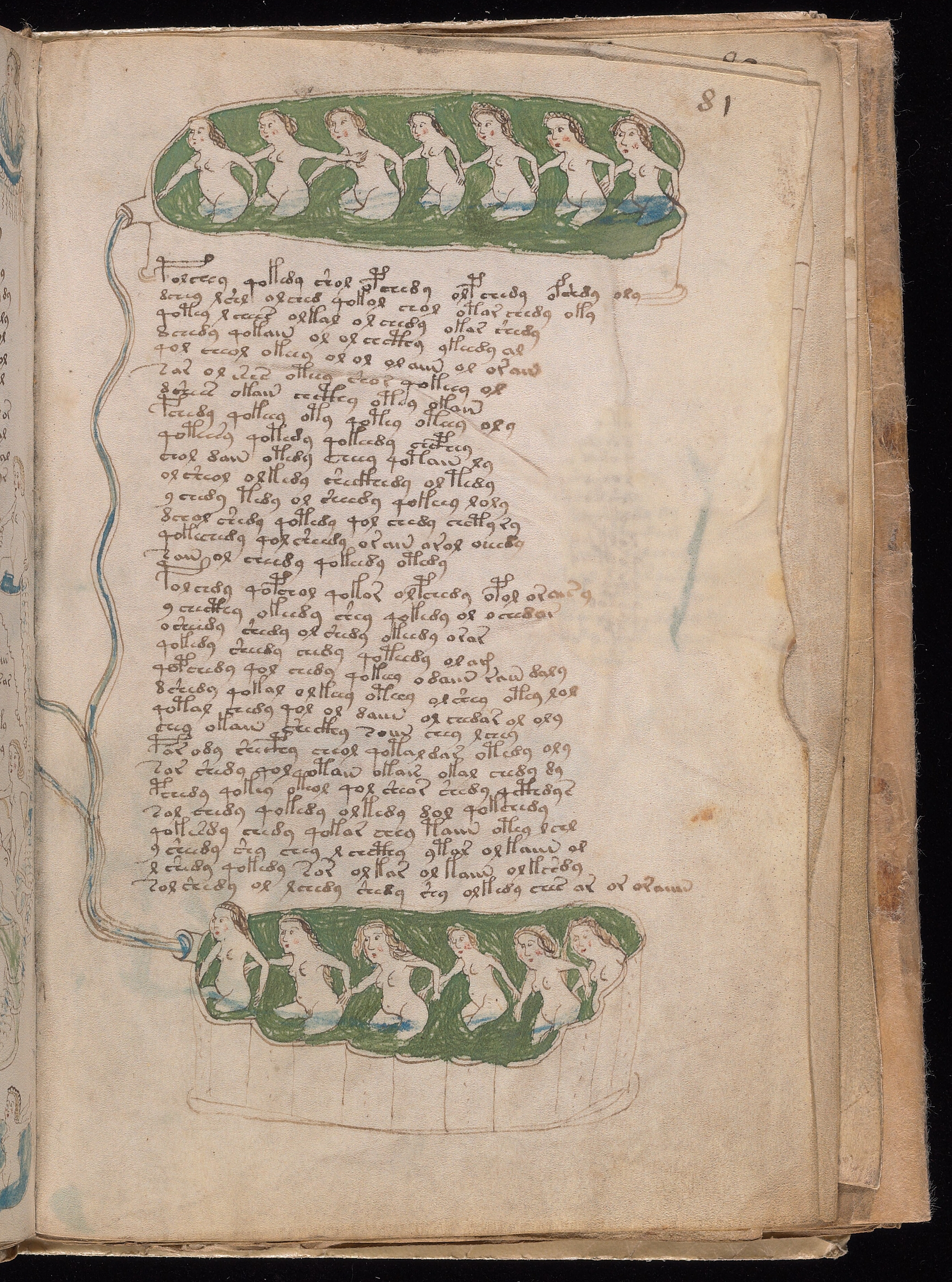 Folio f81r
