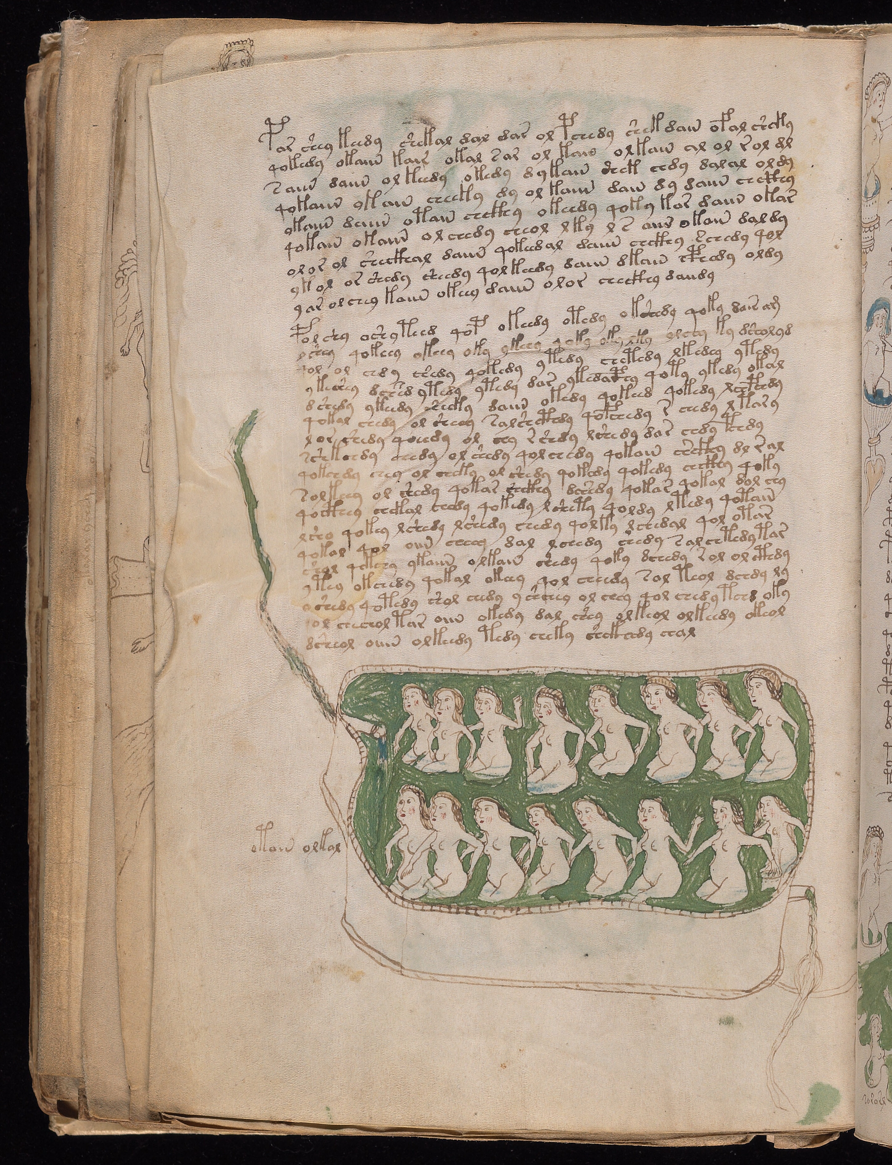 Folio f81v